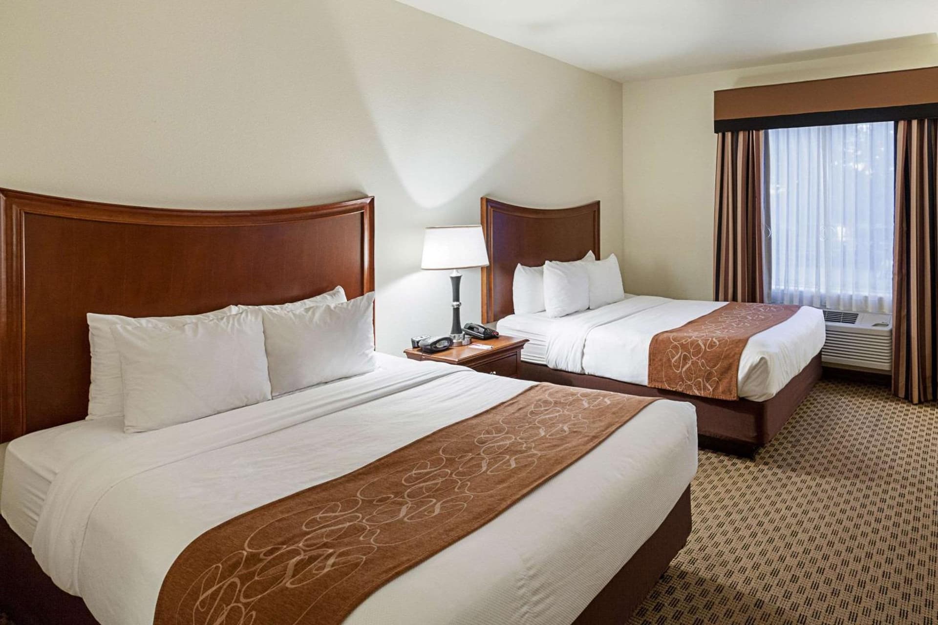 Comfort Suites San Antonio North - Stone Oak gallery photo in San Antonio, TX — image 8