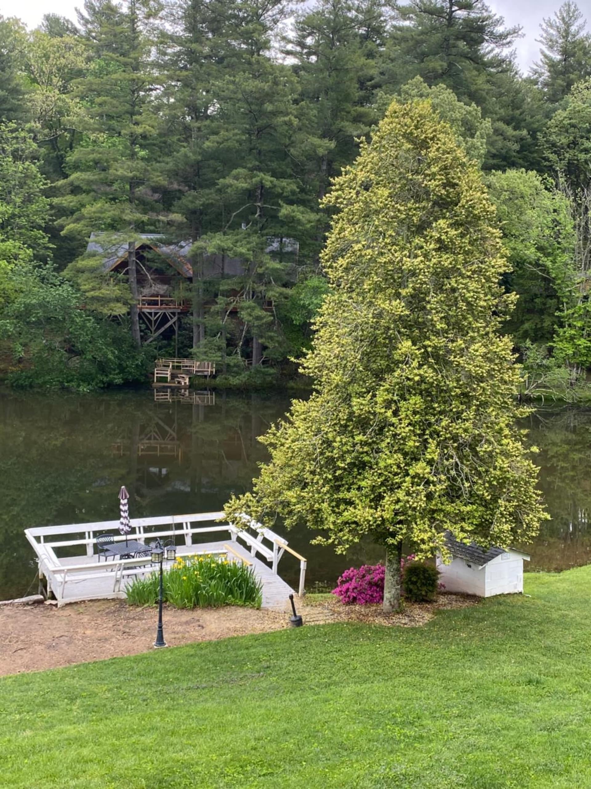 Lakefront Bubbles & Beach property views in Flat Rock, NC — gallery photo 3