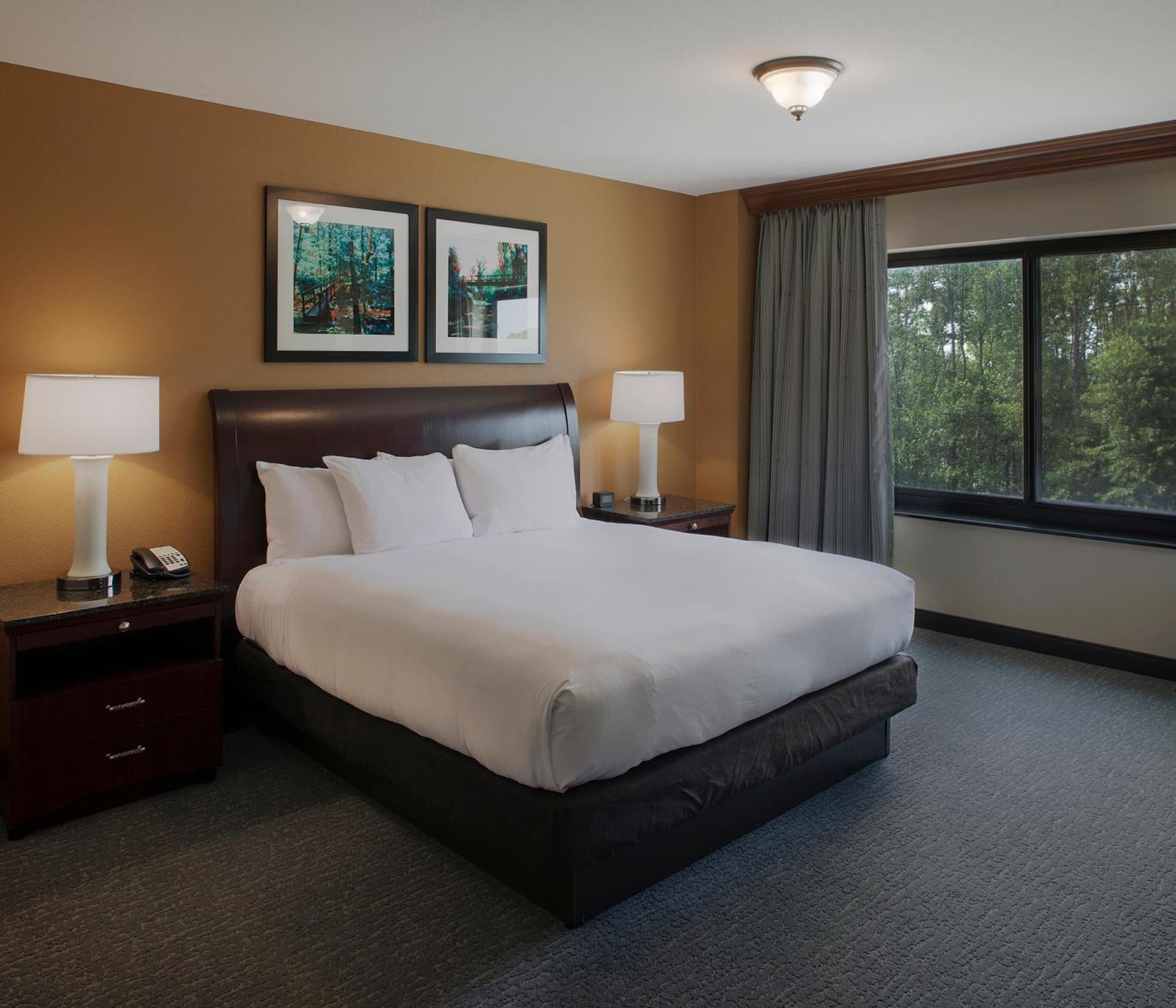 DoubleTree Suites by Hilton Bentonville gallery photo in Bentonville, AR — image 8