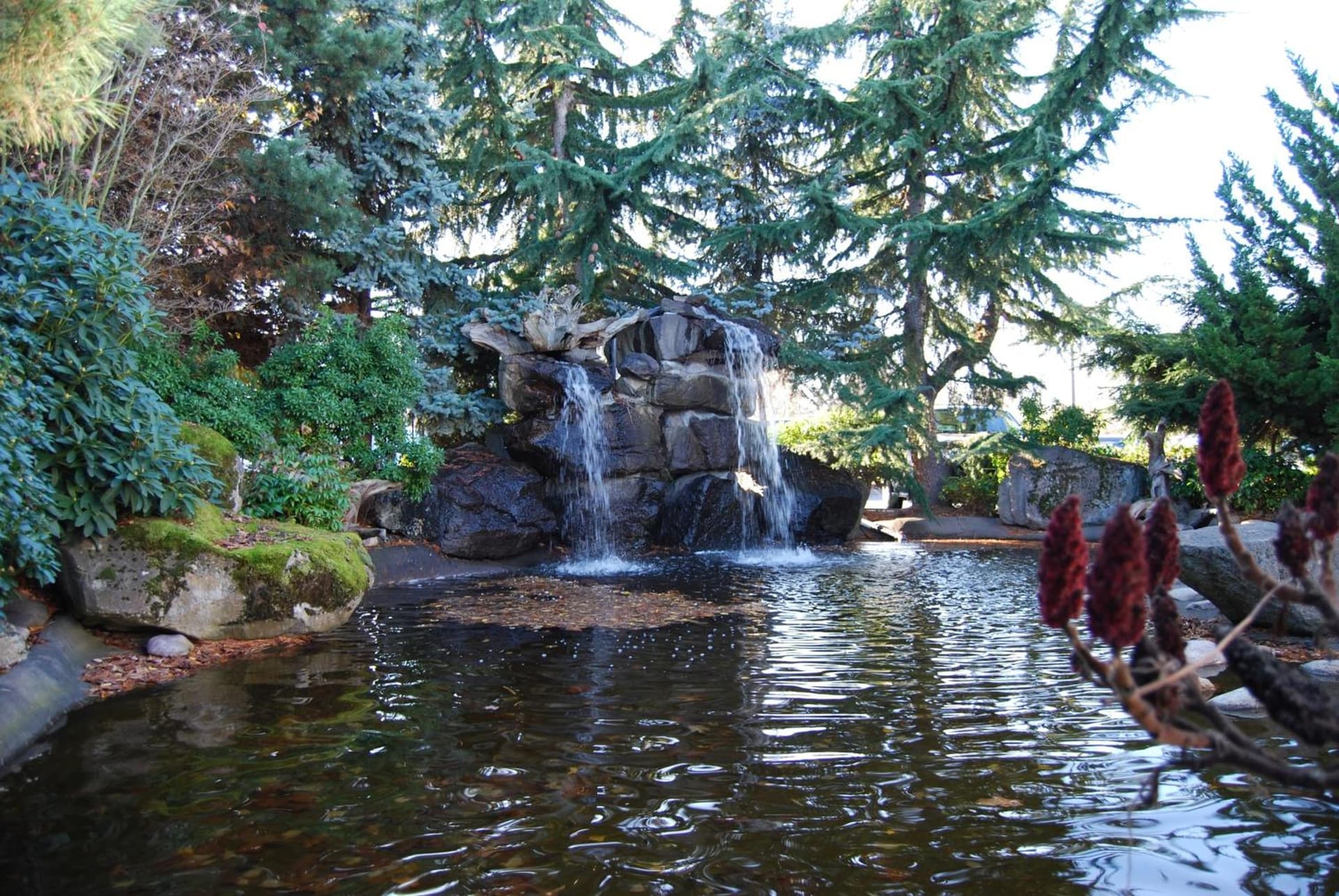 Radisson Hotel Portland Airport gallery photo in Portland, OR — image 55