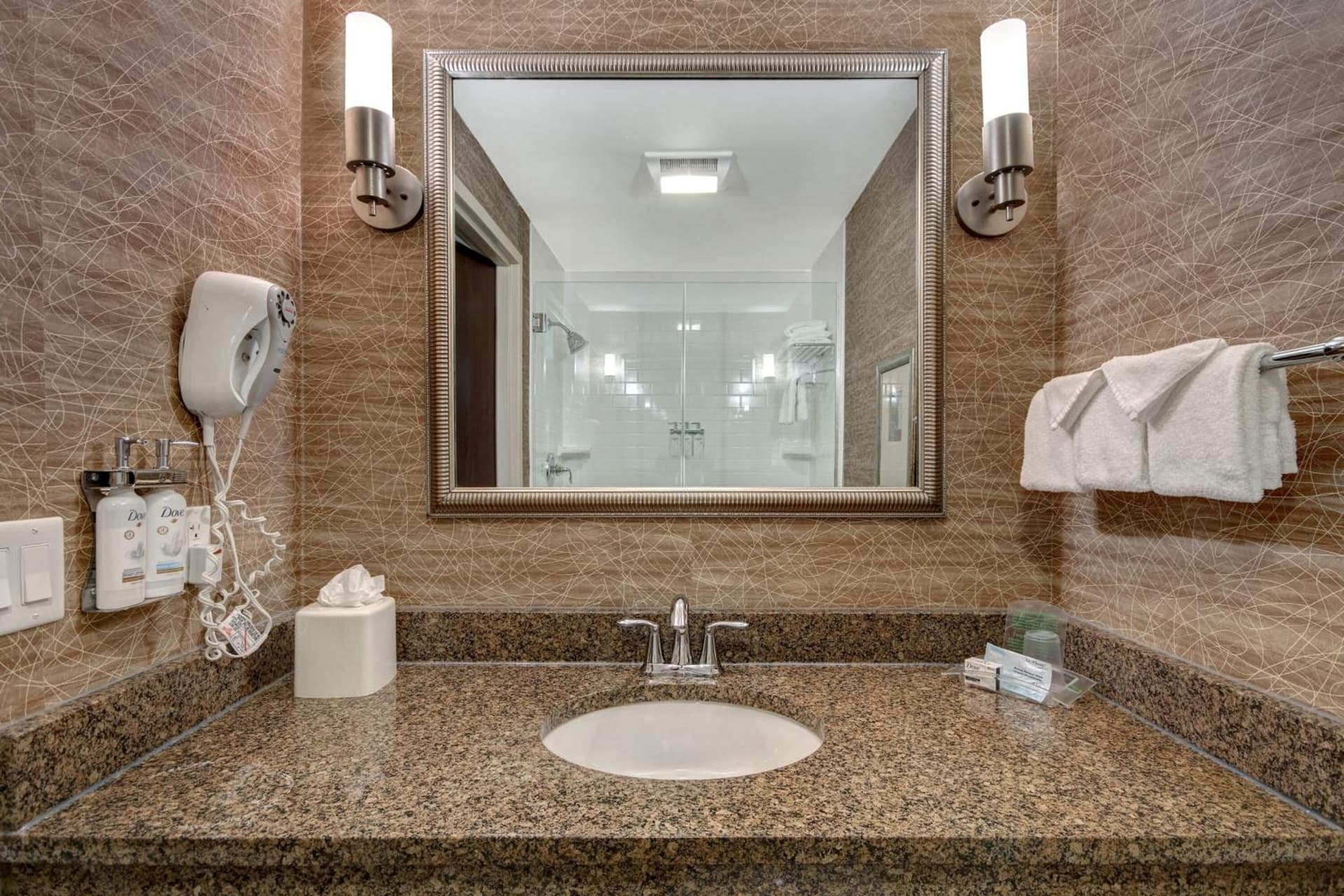Holiday Inn Detroit Metro Airport by IHG gallery photo in Romulus, MI — image 37