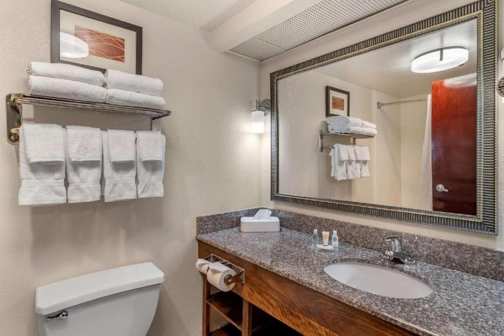 Comfort Inn & Suites Athens North gallery photo in Athens, GA — image 5