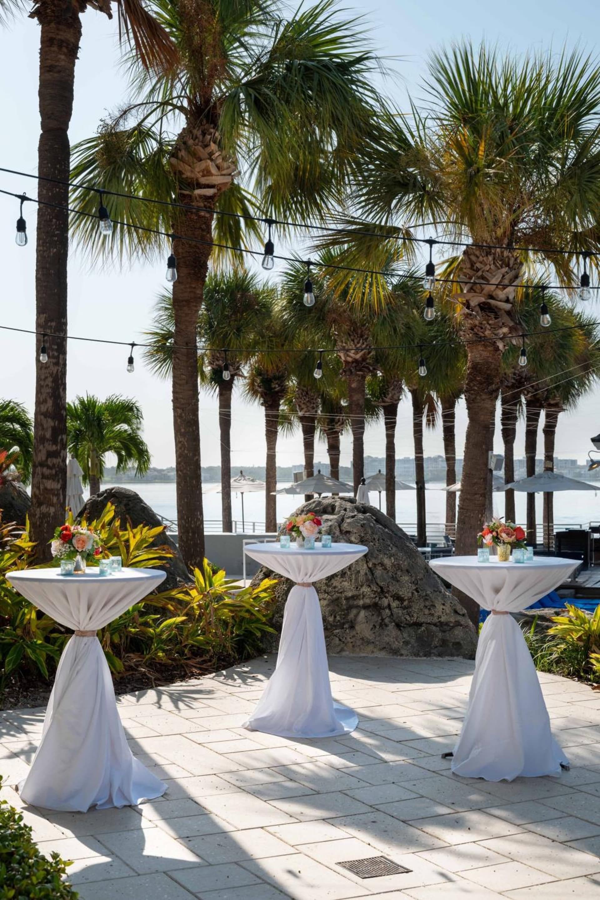 Clearwater Beach Marriott Resort on Sand Key gallery photo in Clearwater Beach, FL — image 24
