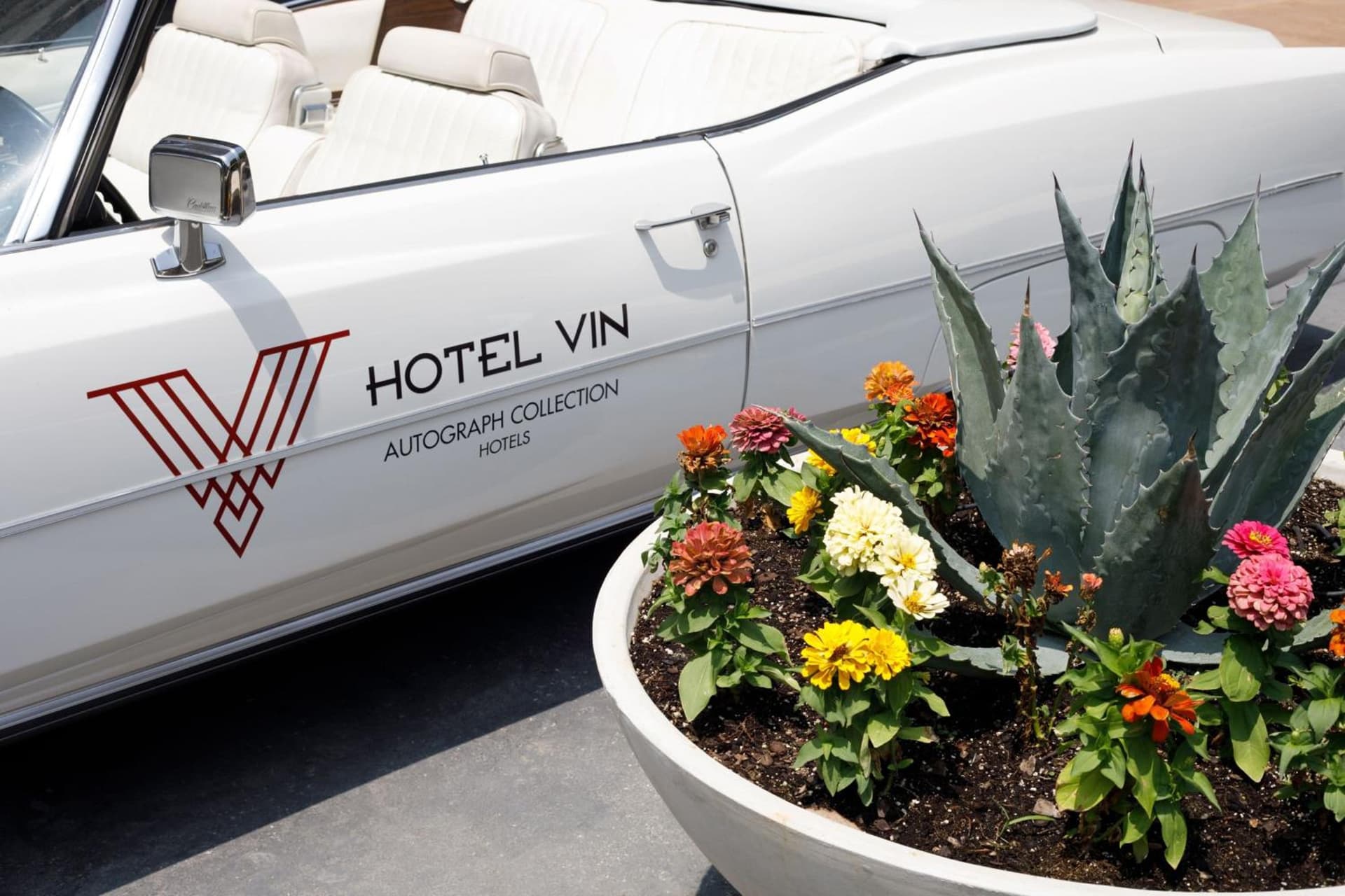 Hotel Vin, Grapevine, Autograph Collection gallery photo in Grapevine, TX — image 7