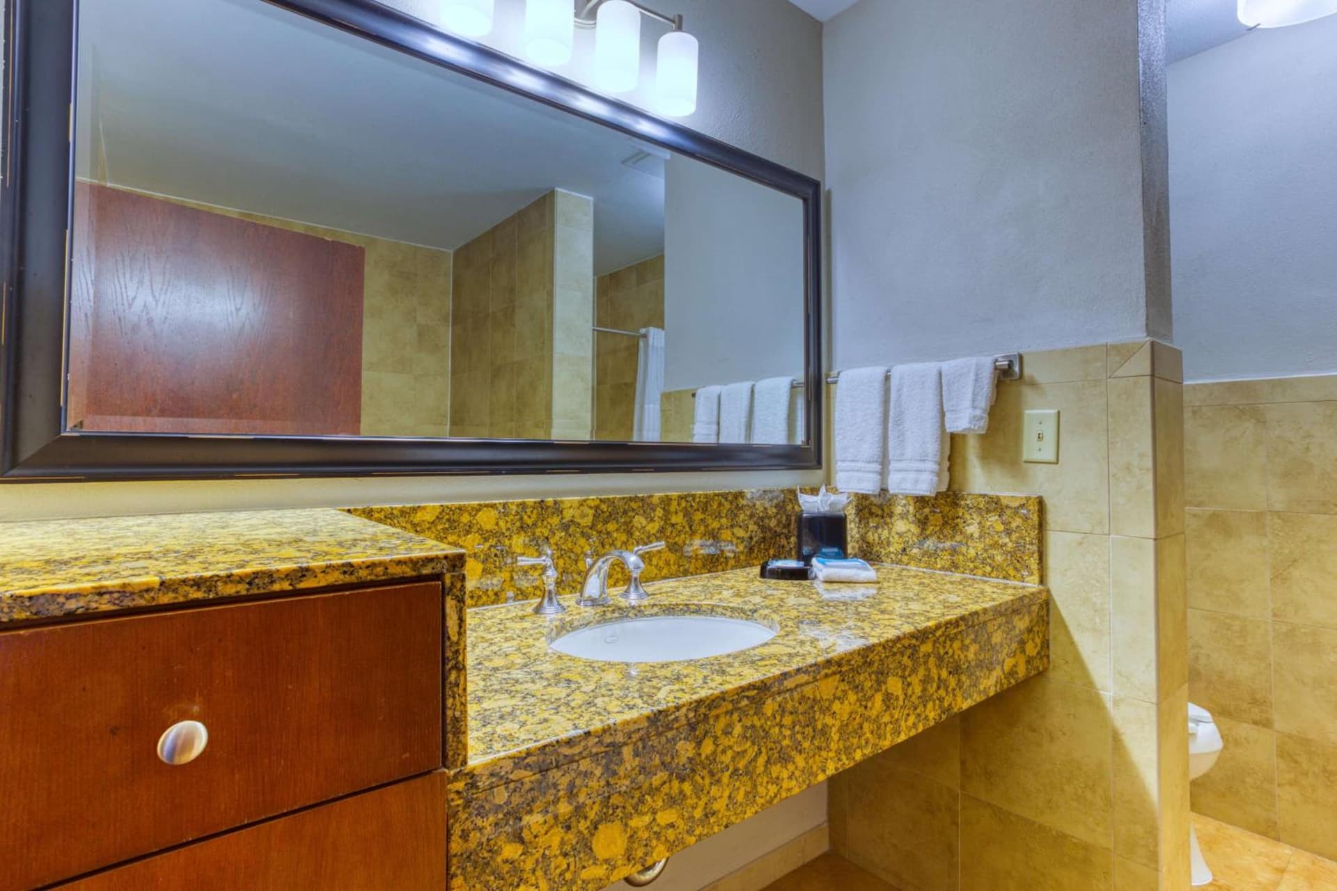 Drury Plaza Hotel San Antonio Riverwalk gallery photo in San Antonio, TX — image 134