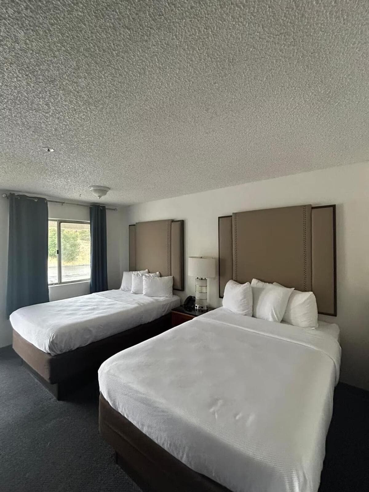 Back Country Inn property views in Boulevard, CA — gallery photo 3