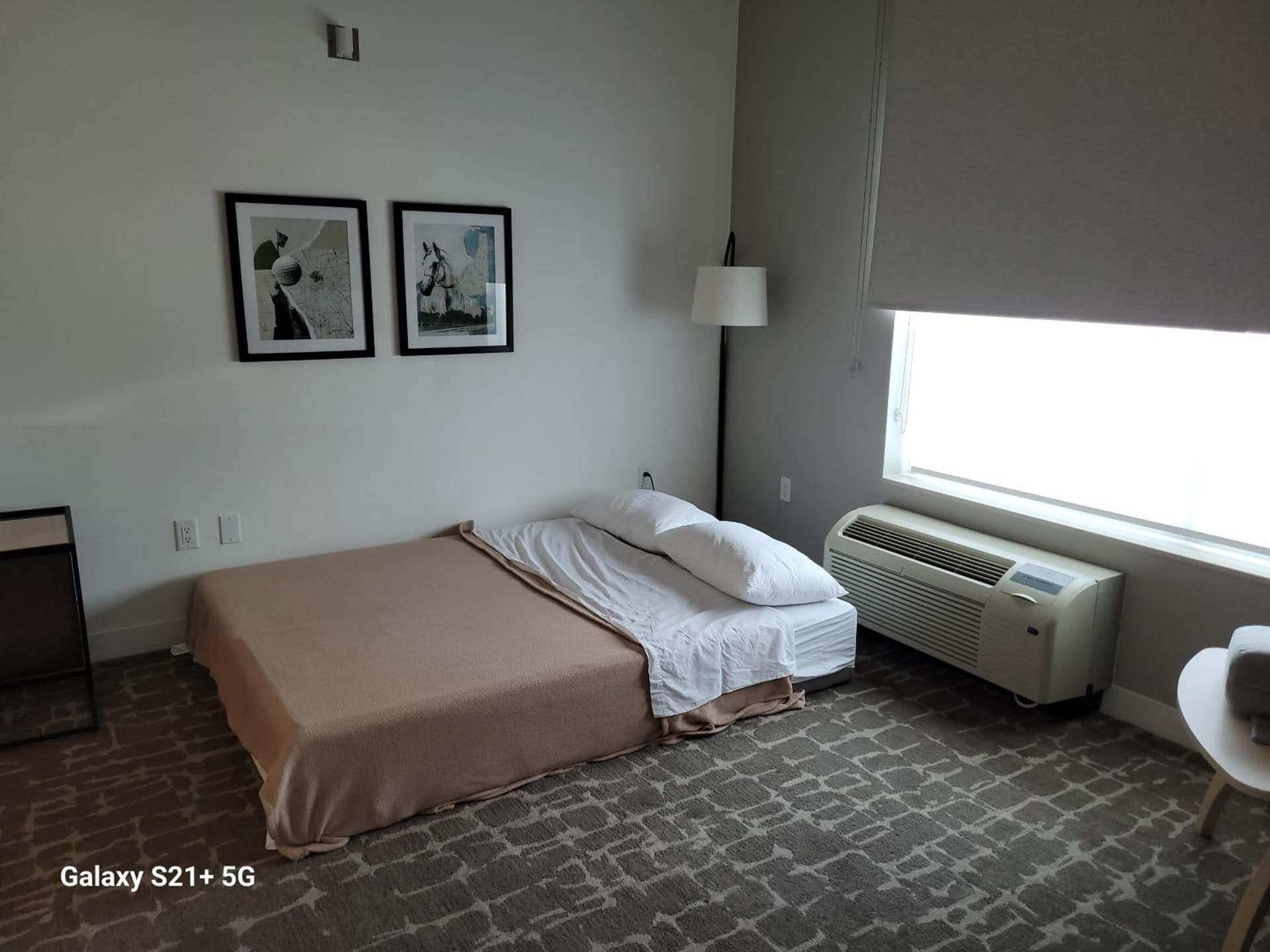 TownePlace Suites by Marriott Ocala gallery photo in Rolling Ranches, FL — image 8