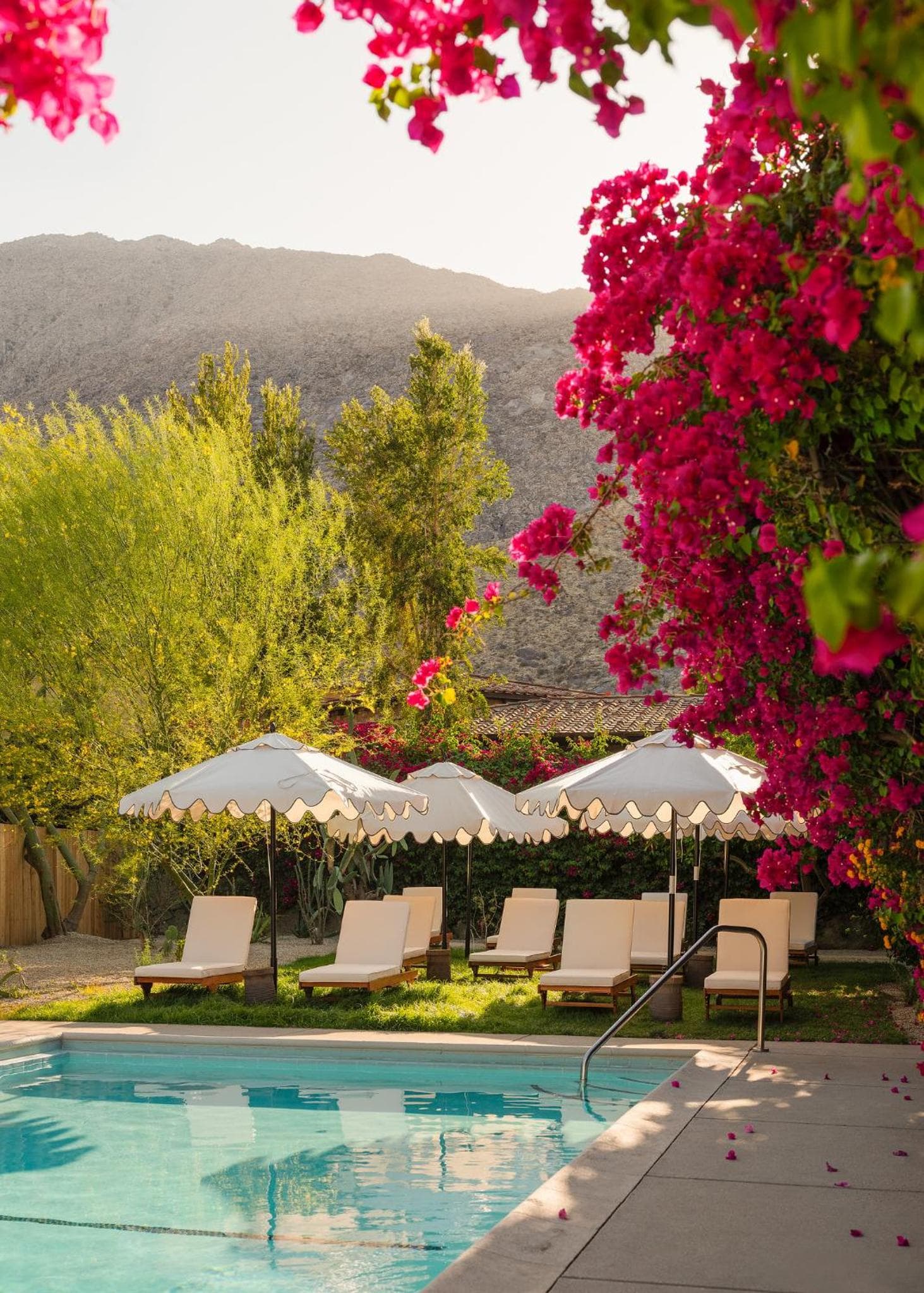 Casa Cody gallery photo in Palm Springs, CA — image 35
