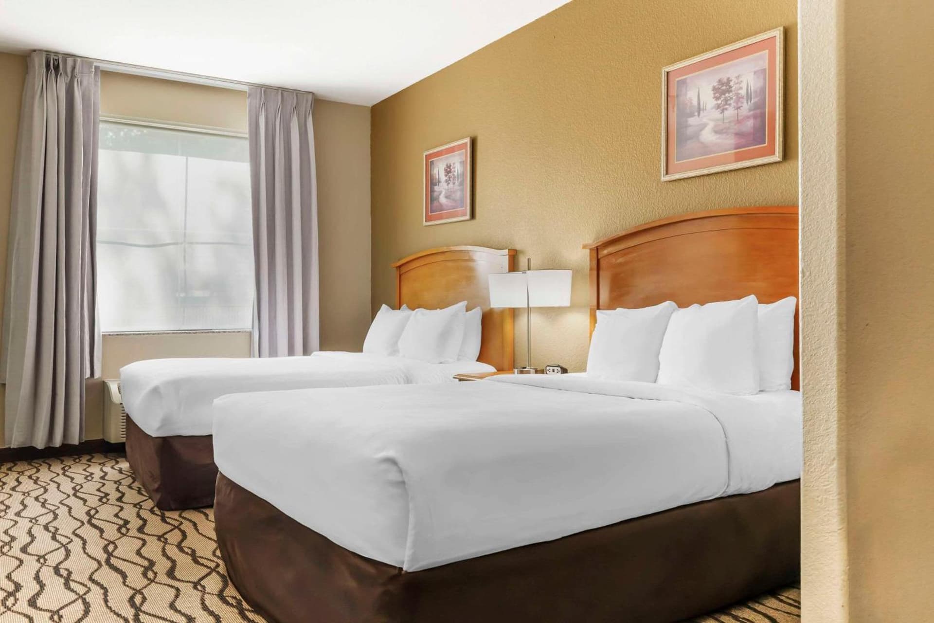 Comfort Inn & Suites Chesapeake - Portsmouth property views in Chesapeake, VA — gallery photo 3