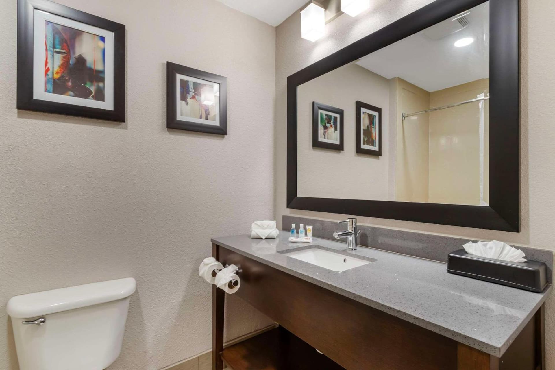 Comfort Suites Shenandoah-The Woodlands property views in The Woodlands, TX — gallery photo 3