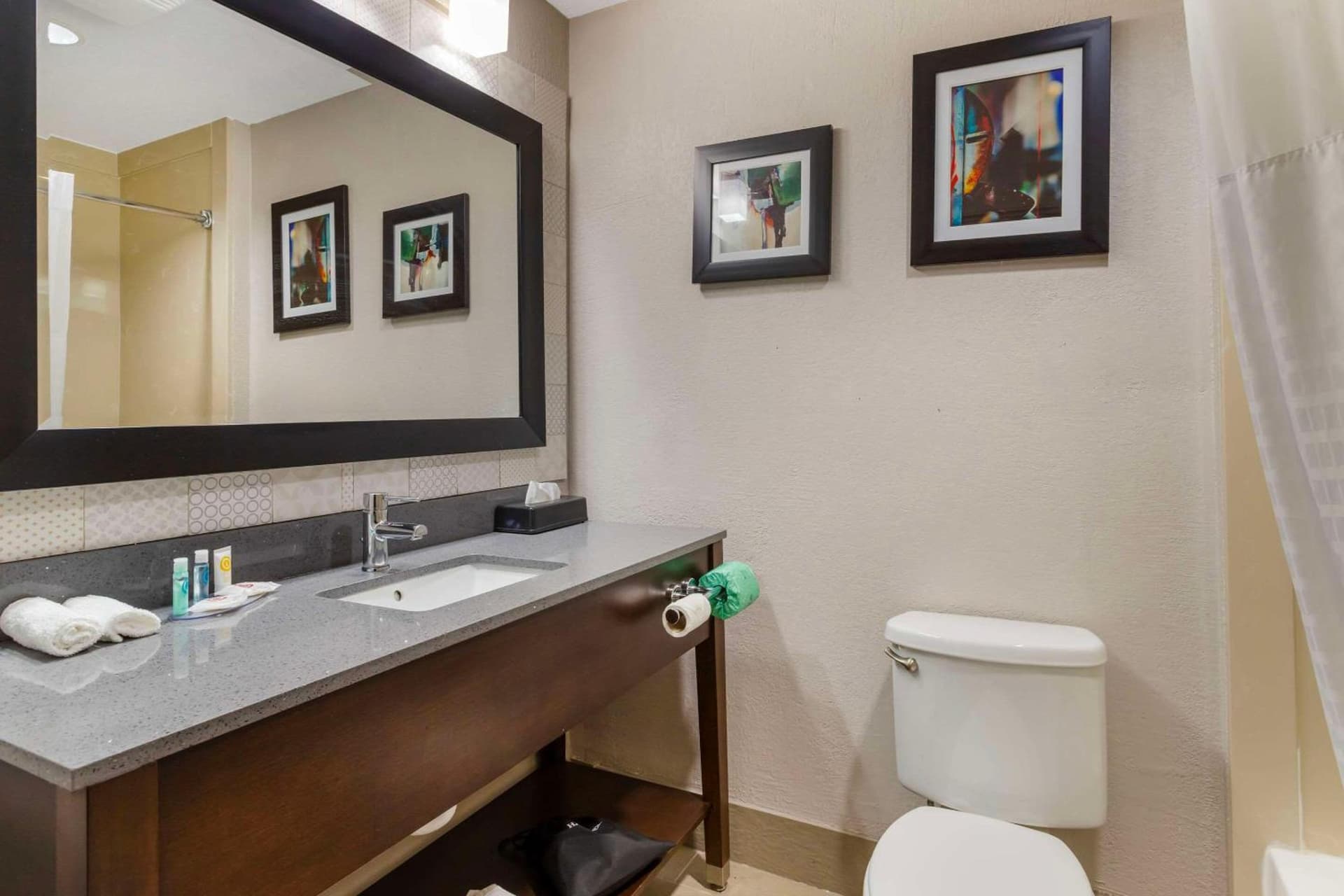 Comfort Suites Shenandoah-The Woodlands gallery photo in The Woodlands, TX — image 18
