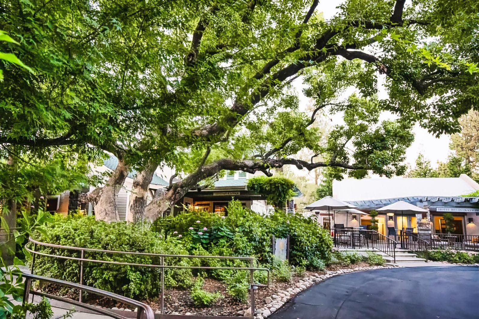 Appellation Lodi - Wine & Roses Resort and Spa gallery photo in Lodi, CA — image 4