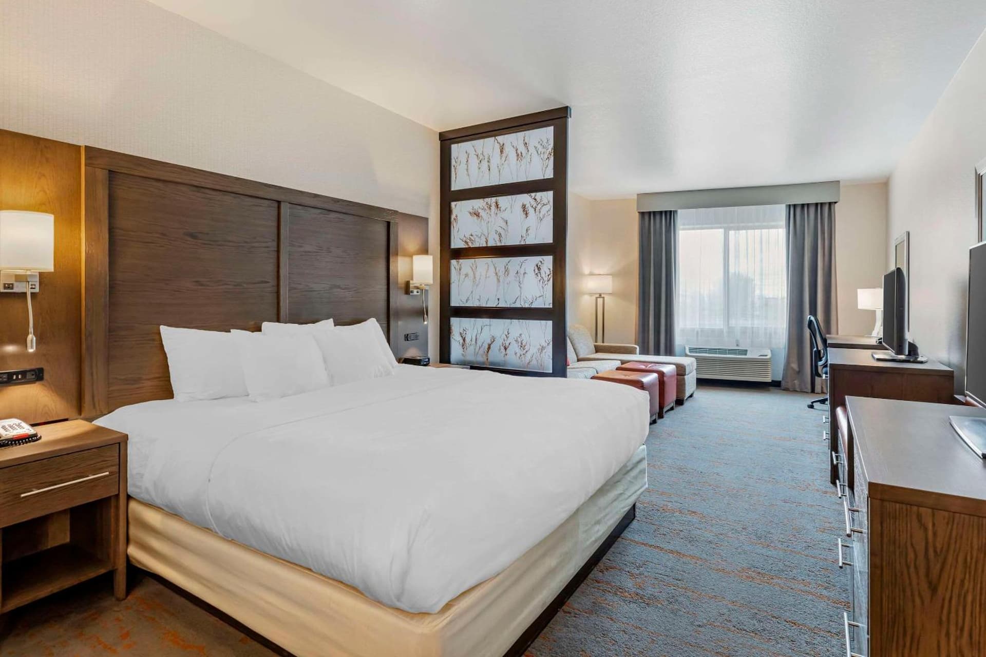 Comfort Inn & Suites Brighton Denver NE Medical Center gallery photo in Brighton, CO — image 21