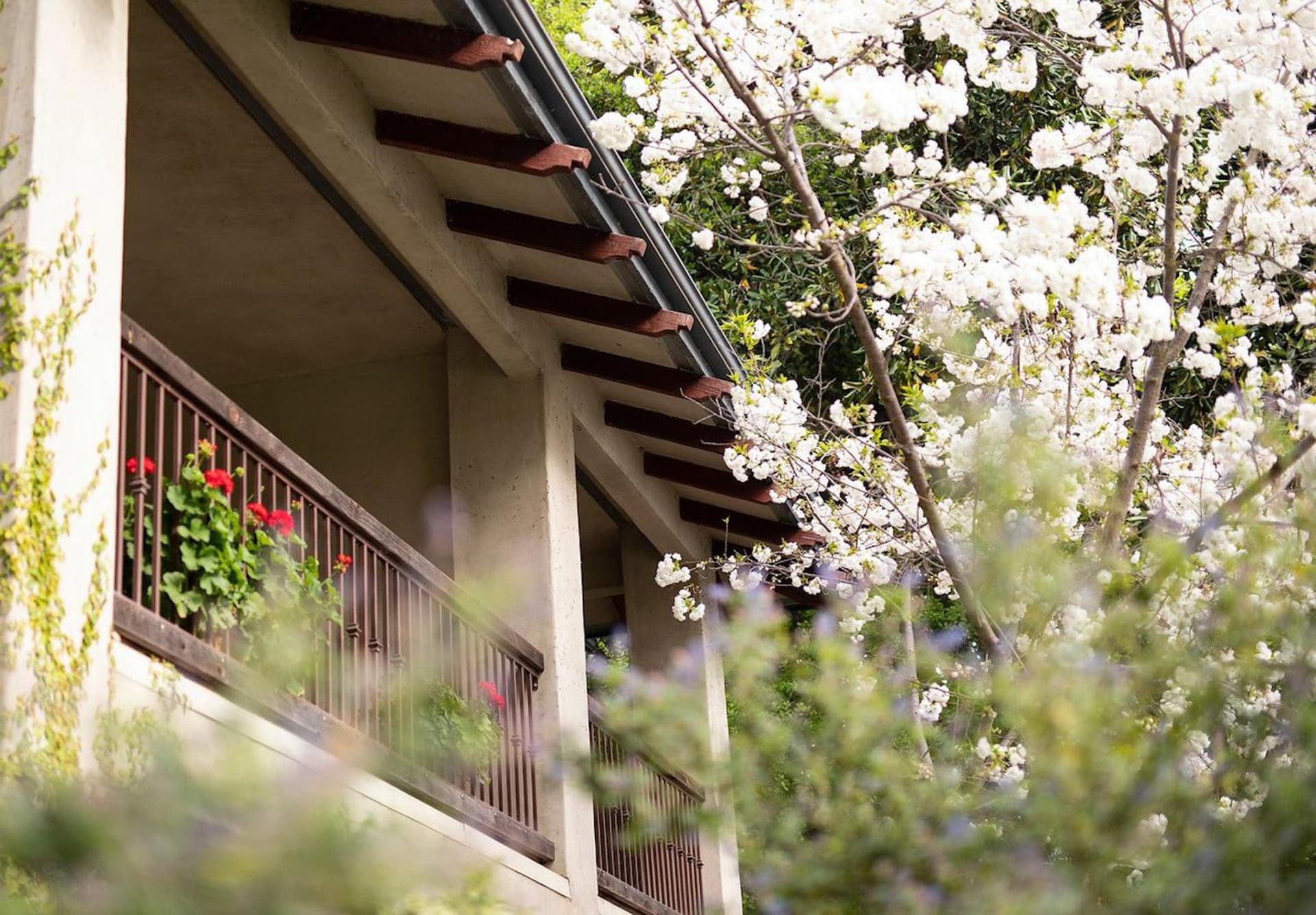 Appellation Lodi - Wine & Roses Resort and Spa gallery photo in Lodi, CA — image 28
