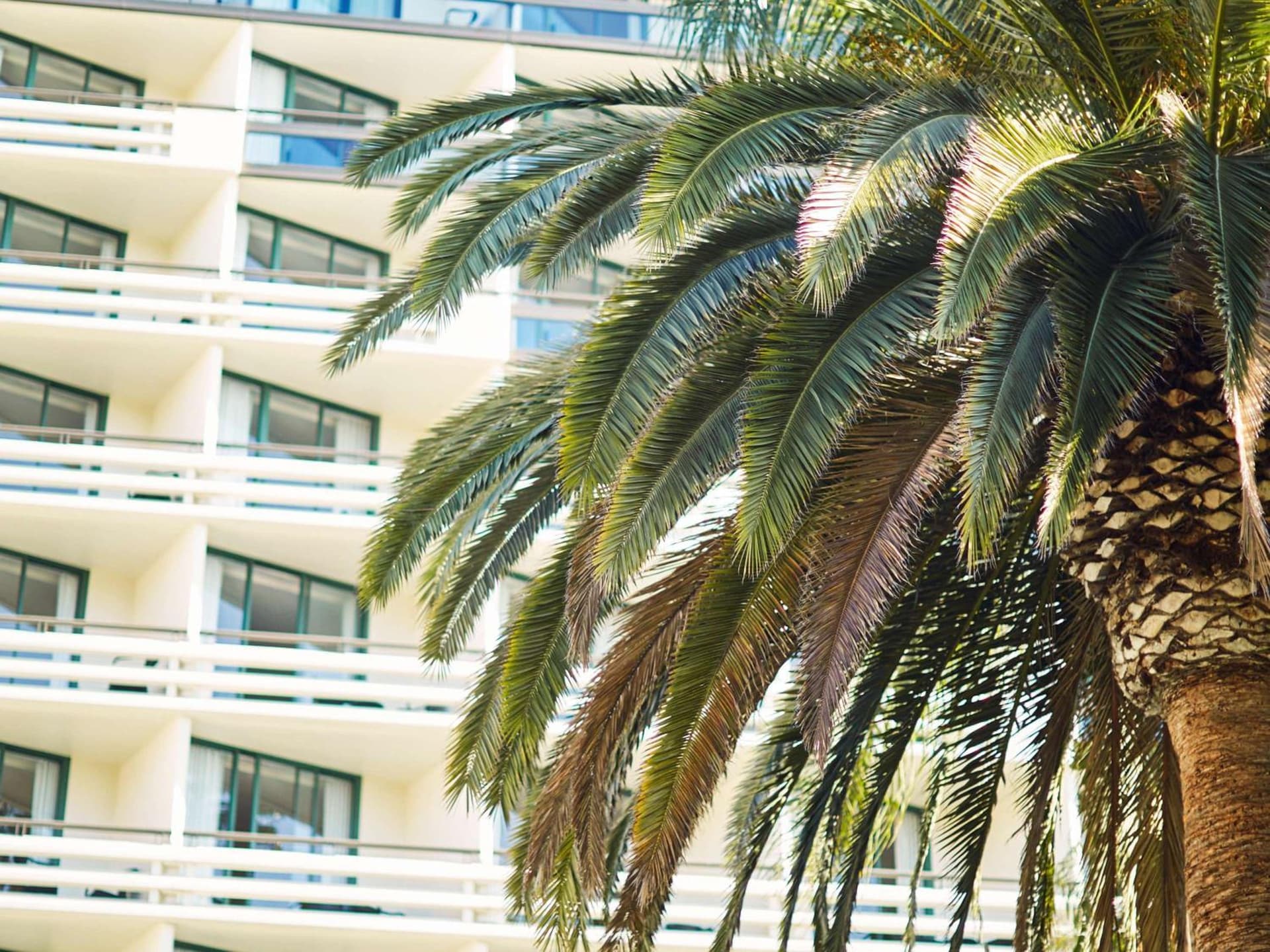 Fairmont Miramar Hotel & Bungalows property views in Los Angeles, CA — gallery photo 3