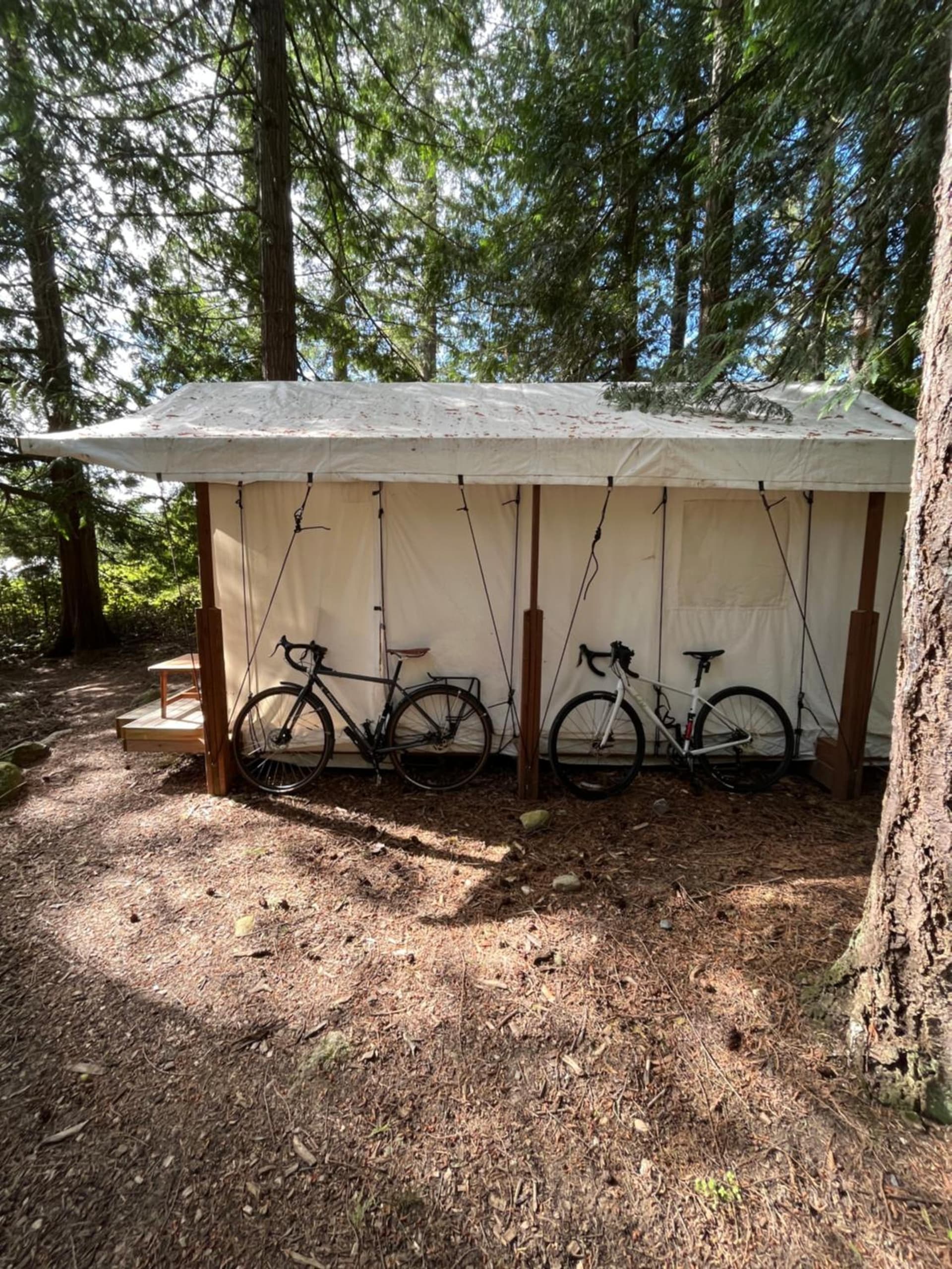 Lopez Farm Cottages & Tent Camping gallery photo in Lopez — image 26