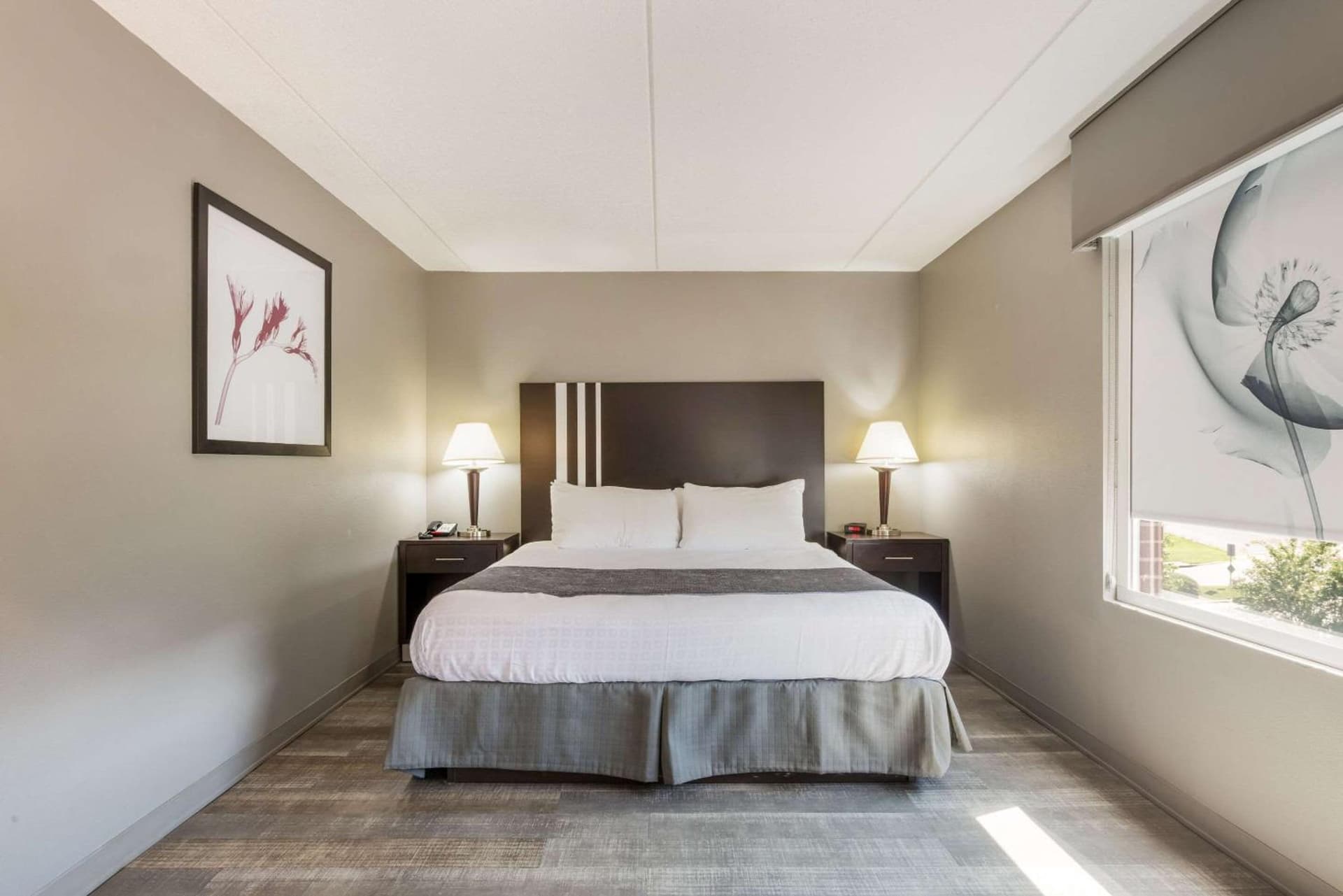 Clarion Pointe Greensboro Airport gallery photo in Greensboro, NC — image 9