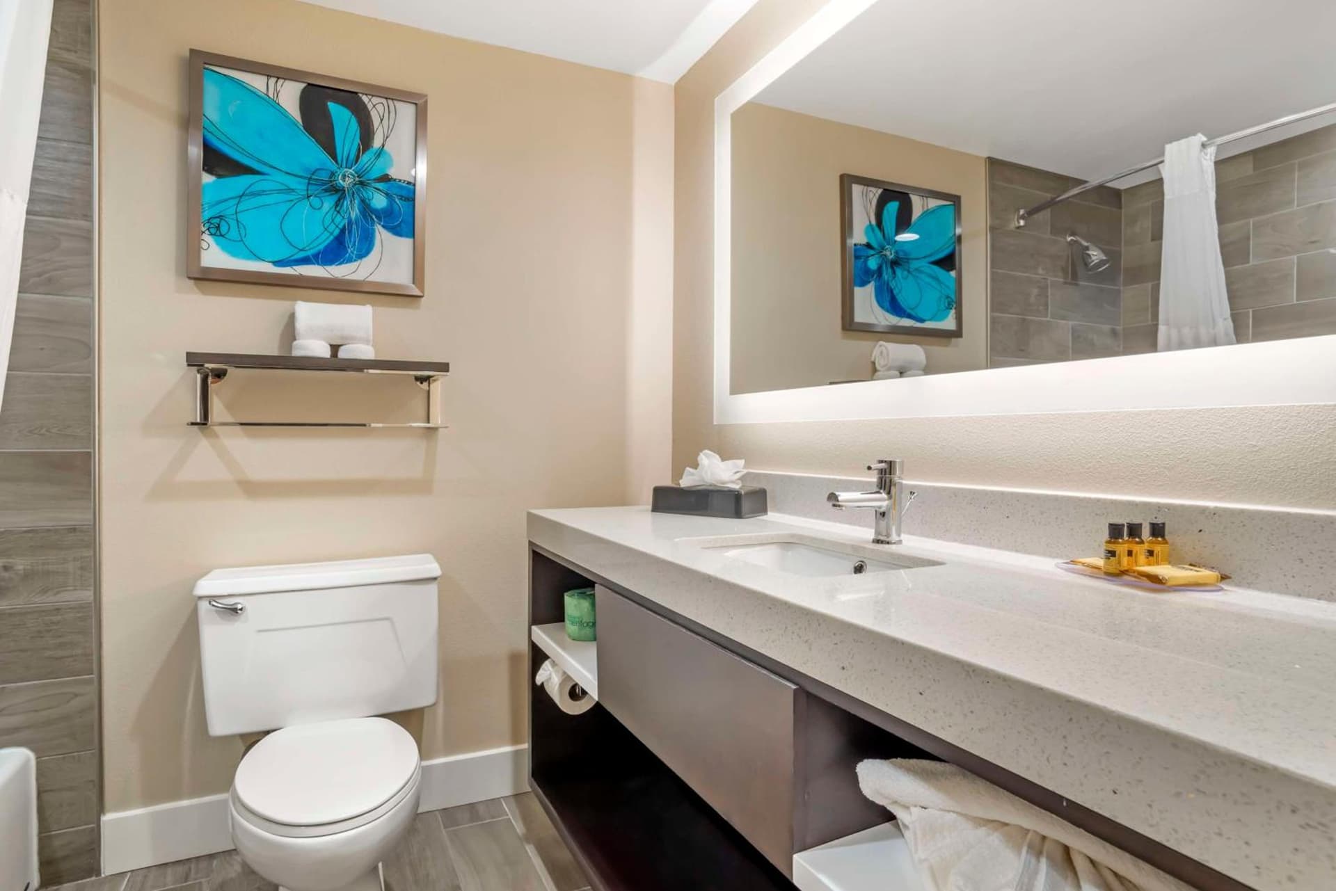 Best Western Plus Greenville I-385 Inn & Suites gallery photo in Greenville, SC — image 8