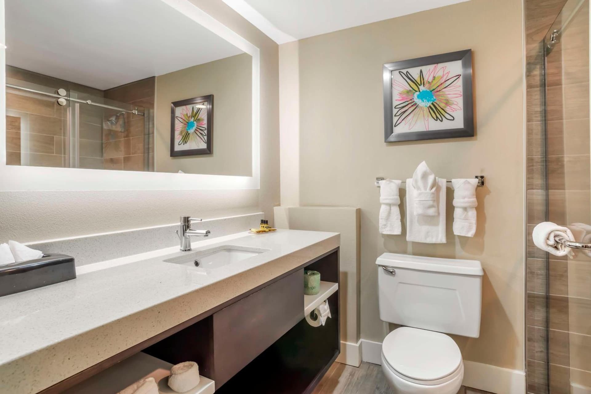 Best Western Plus Greenville I-385 Inn & Suites gallery photo in Greenville, SC — image 5