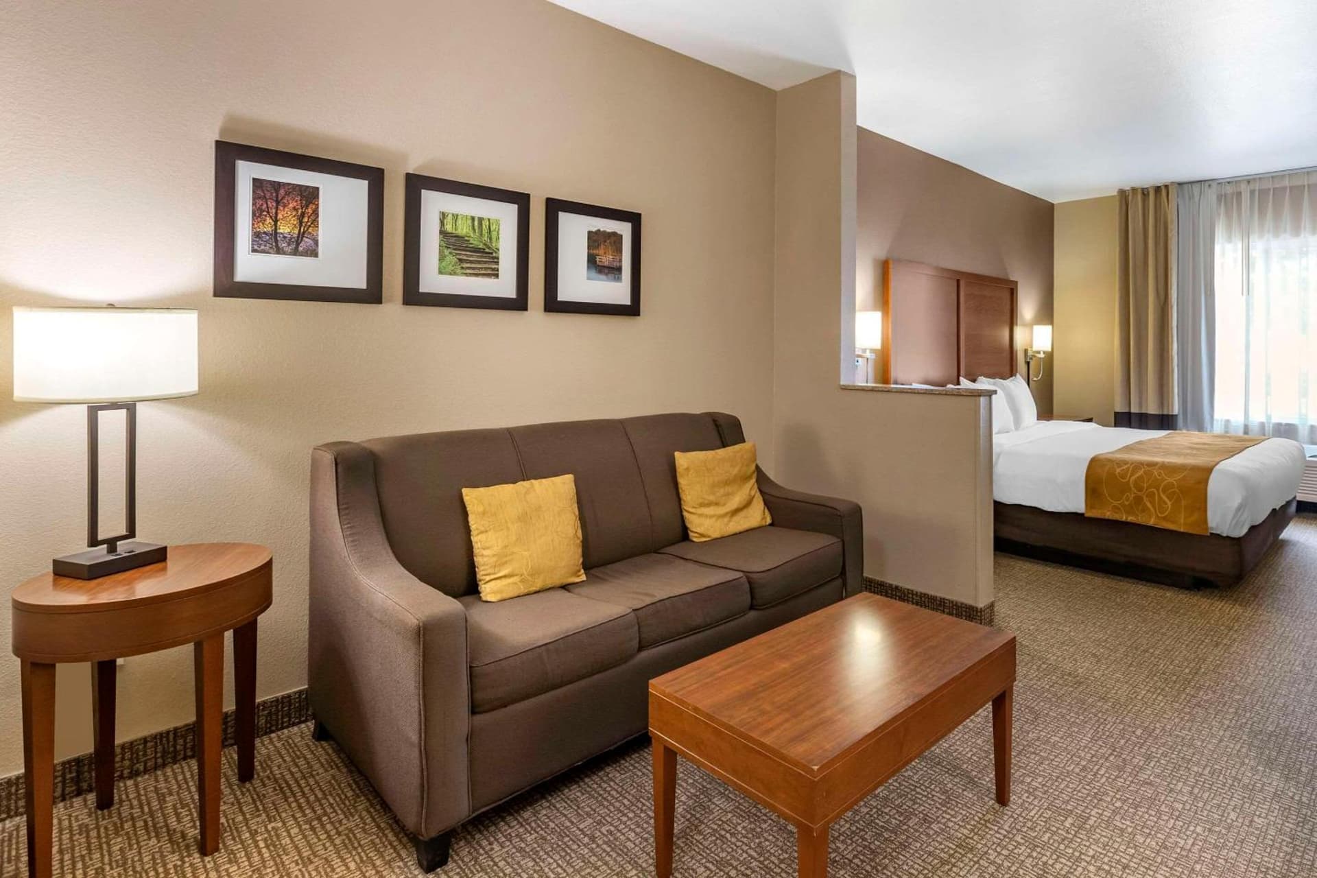 Comfort Suites Coralville I-80 gallery photo in Coralville, IA — image 13
