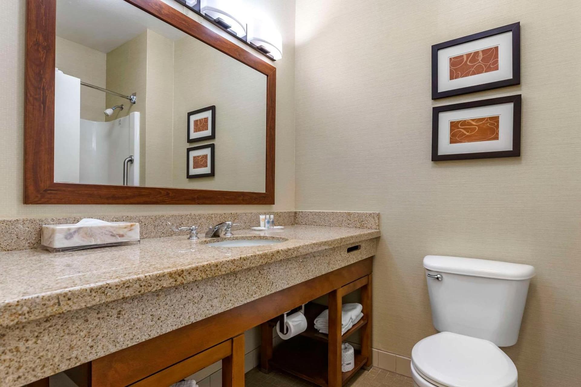 Comfort Suites Coralville I-80 gallery photo in Coralville, IA — image 32