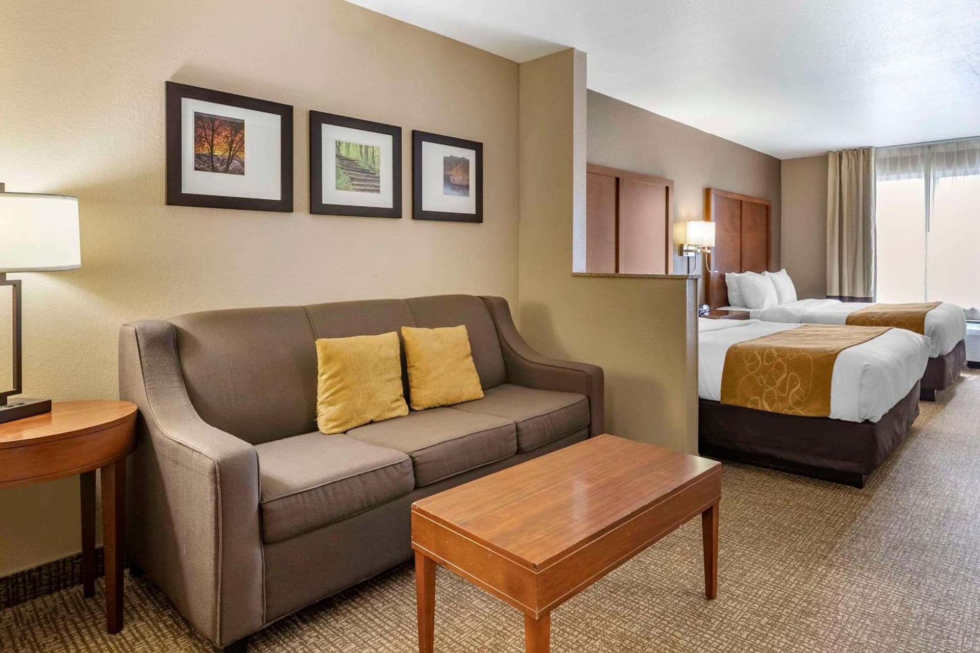 Comfort Suites Coralville I-80 gallery photo in Coralville, IA — image 18