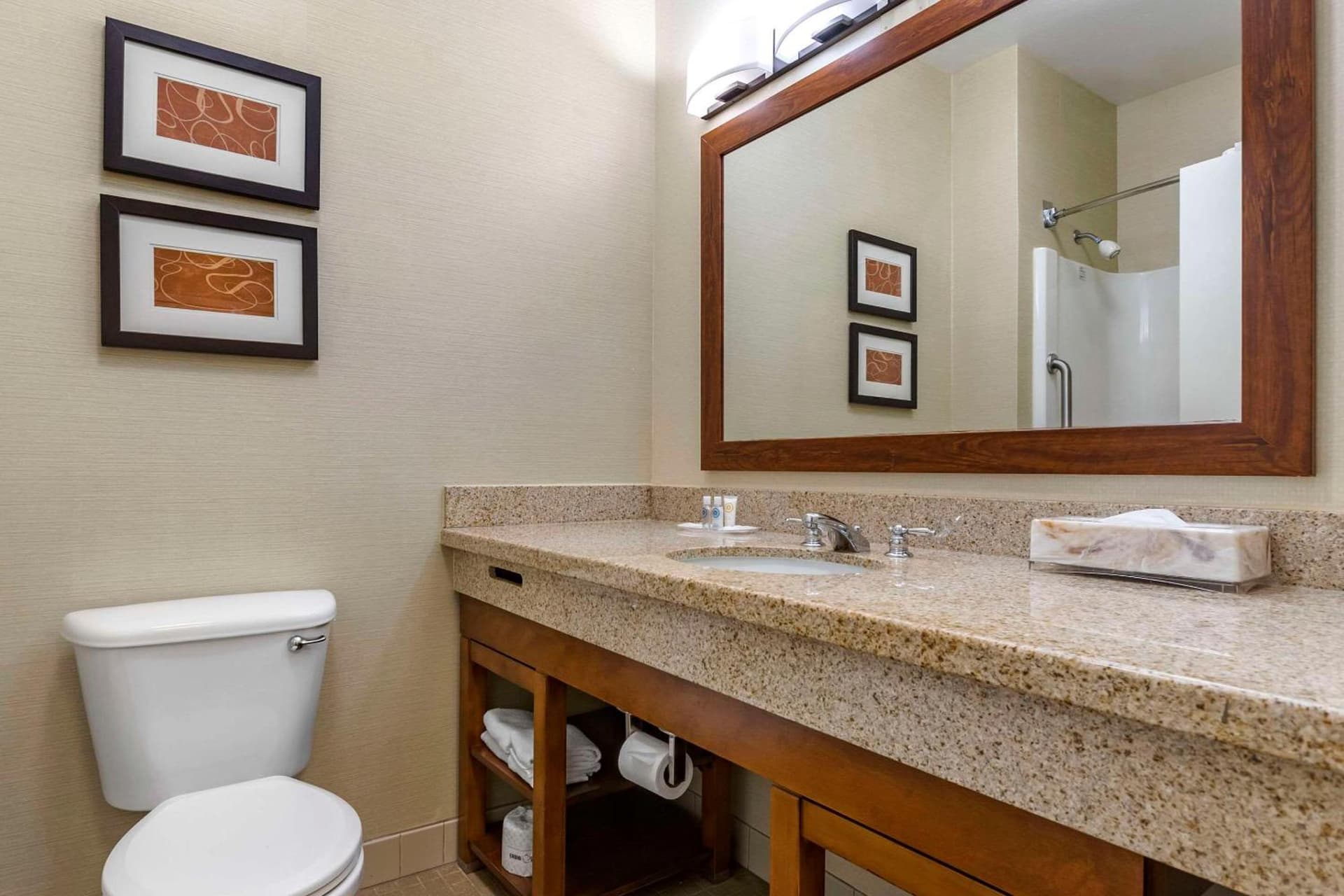 Comfort Suites Coralville I-80 gallery photo in Coralville, IA — image 6