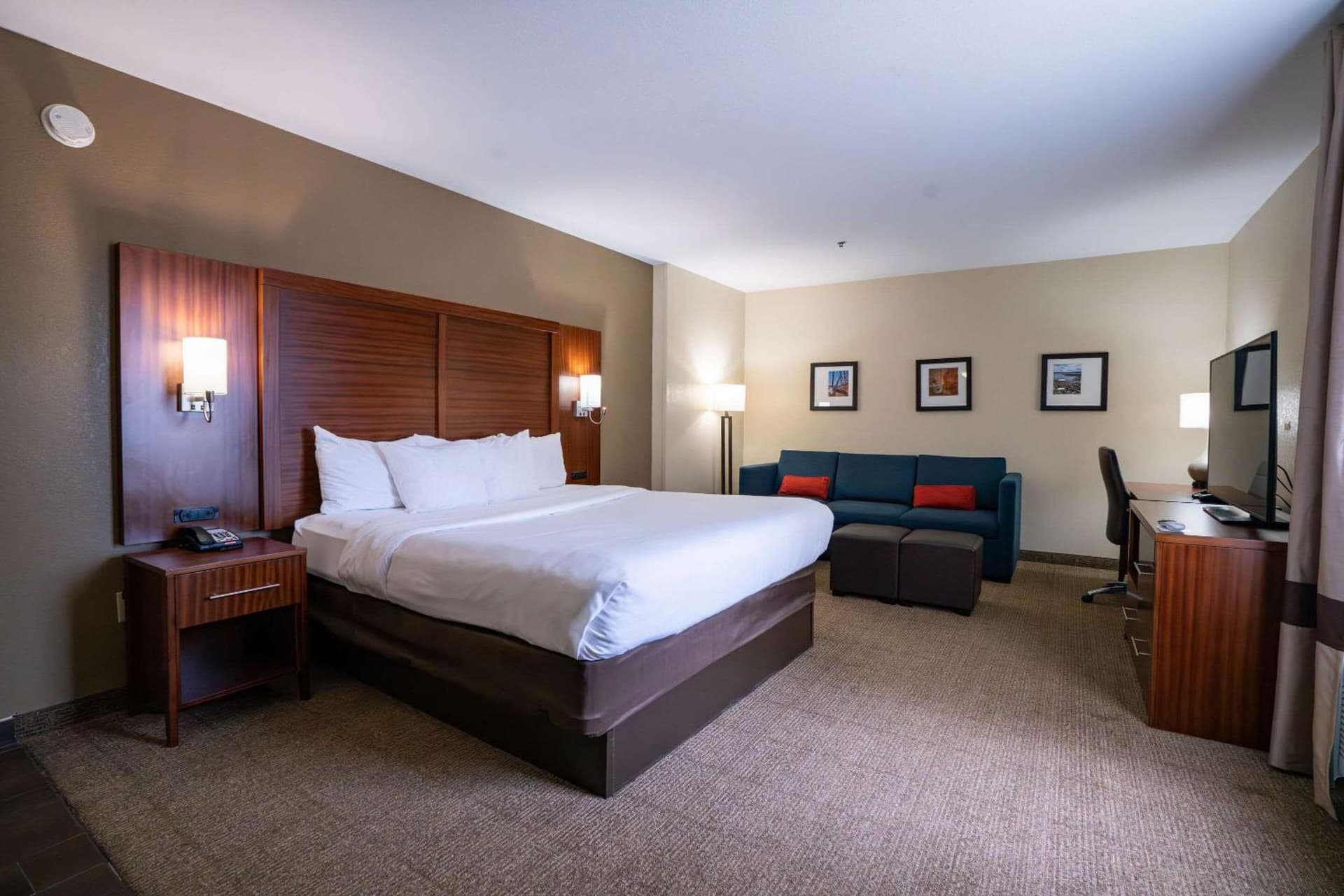Comfort Suites Flowood - Jackson Airport gallery photo in Luckney, MS — image 18