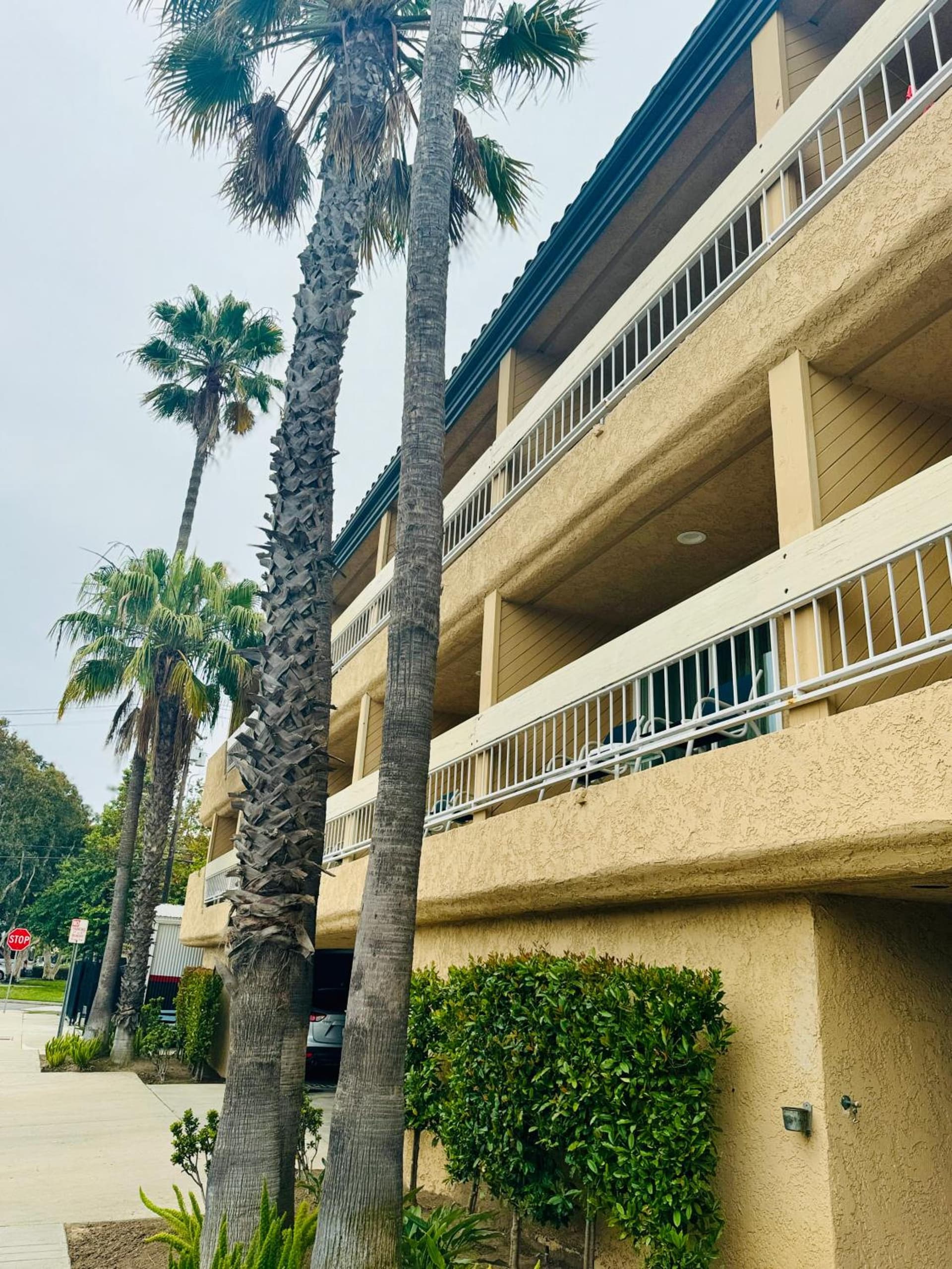 The Pacific Inn gallery photo in Seal Beach, CA — image 27
