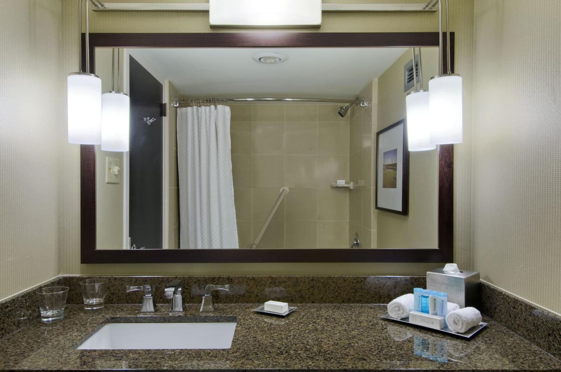 Hilton St. Louis at the Ballpark gallery photo in Saint Louis, MO — image 68