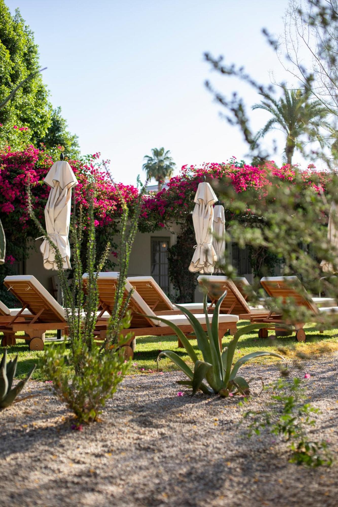 Casa Cody gallery photo in Palm Springs, CA — image 31