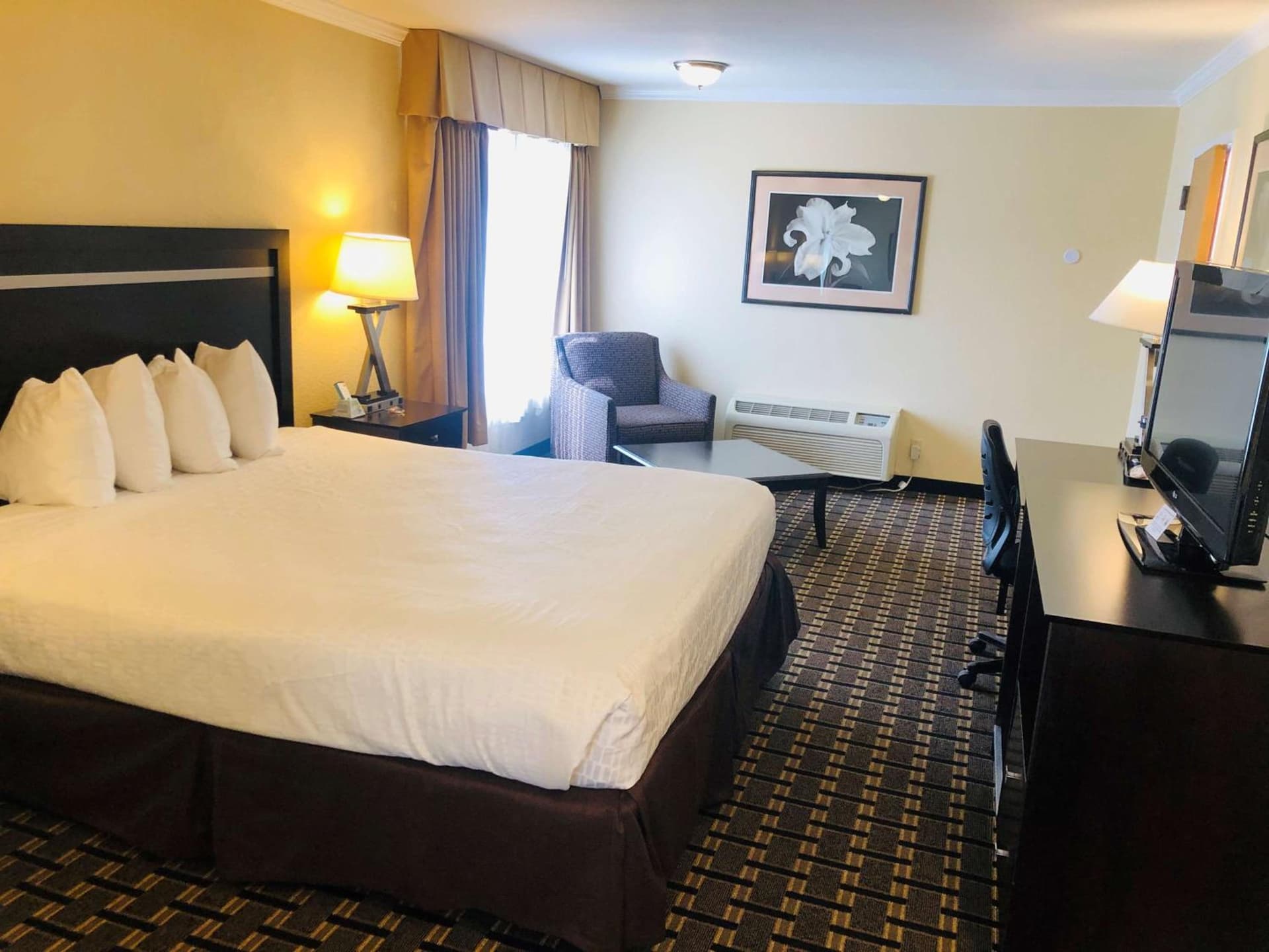 Best Western PLUS Inn of Hayward gallery photo in Hayward, CA — image 6