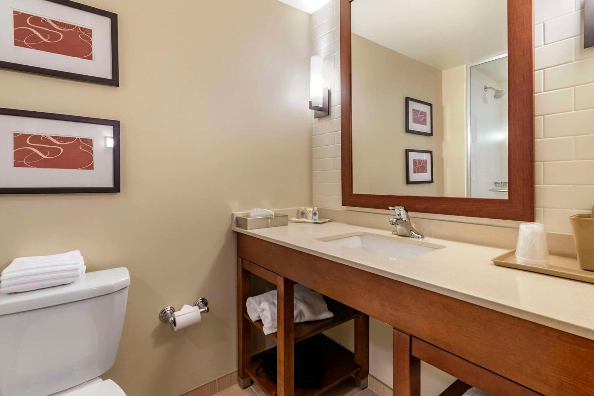 Comfort Suites Manheim - Lancaster gallery photo in Manheim, PA — image 18