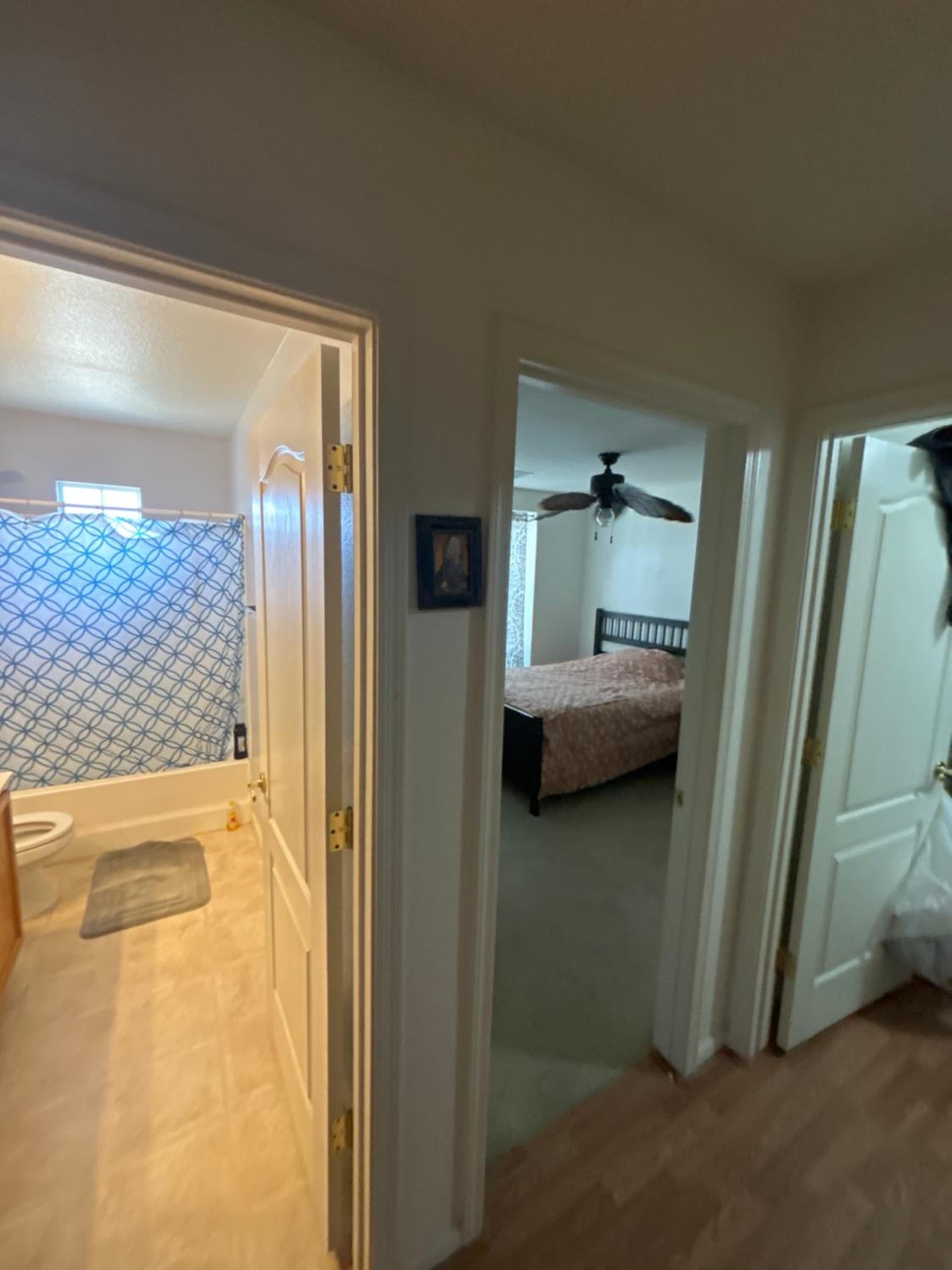 Chateau de aleoneé property views in Casa Grande, AZ — gallery photo 3