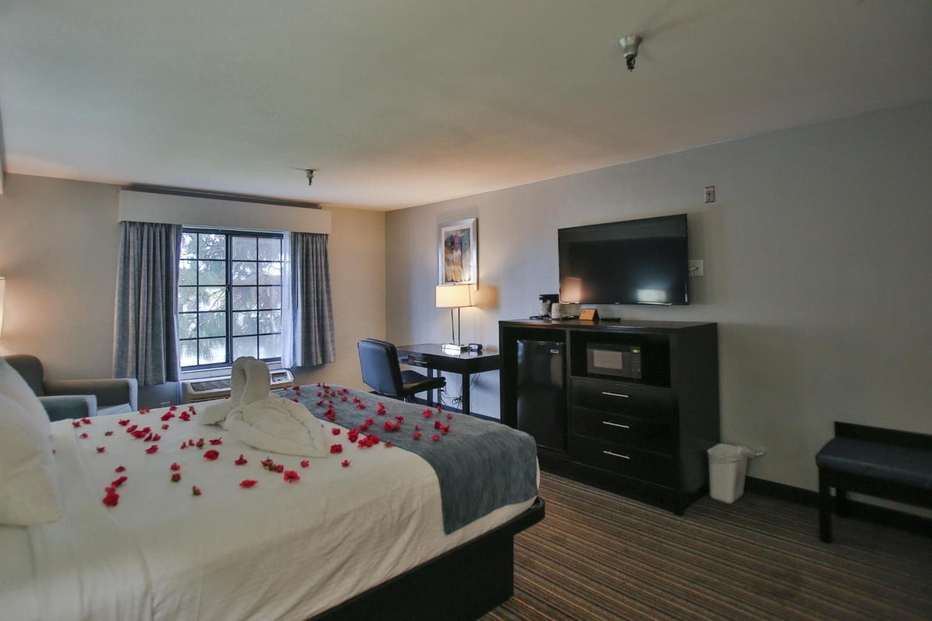 Best Western Surf City gallery photo in Huntington Beach, CA — image 26