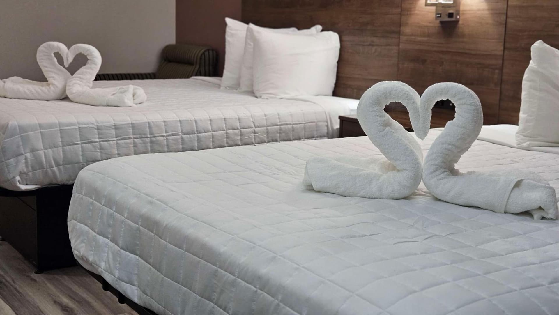 Best Western Hopkinsville KY - BRAND NEW ROOMS gallery photo in Hopkinsville, KY — image 27