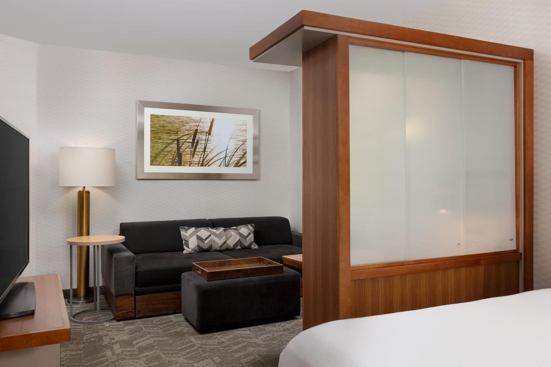 SpringHill Suites by Marriott Grand Junction Downtown/Historic Main Street gallery photo in Grand Junction, CO — image 10