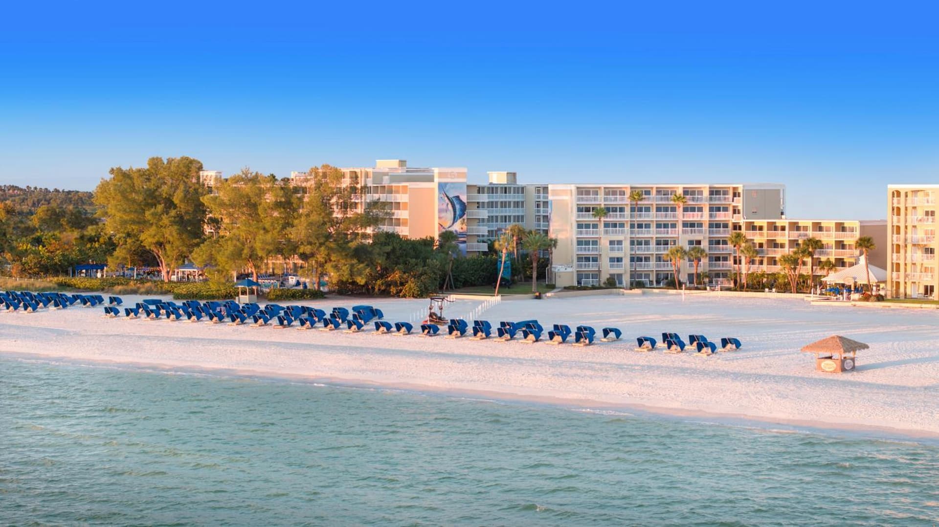 RumFish Beach at TradeWinds gallery photo in St Pete Beach, FL — image 45