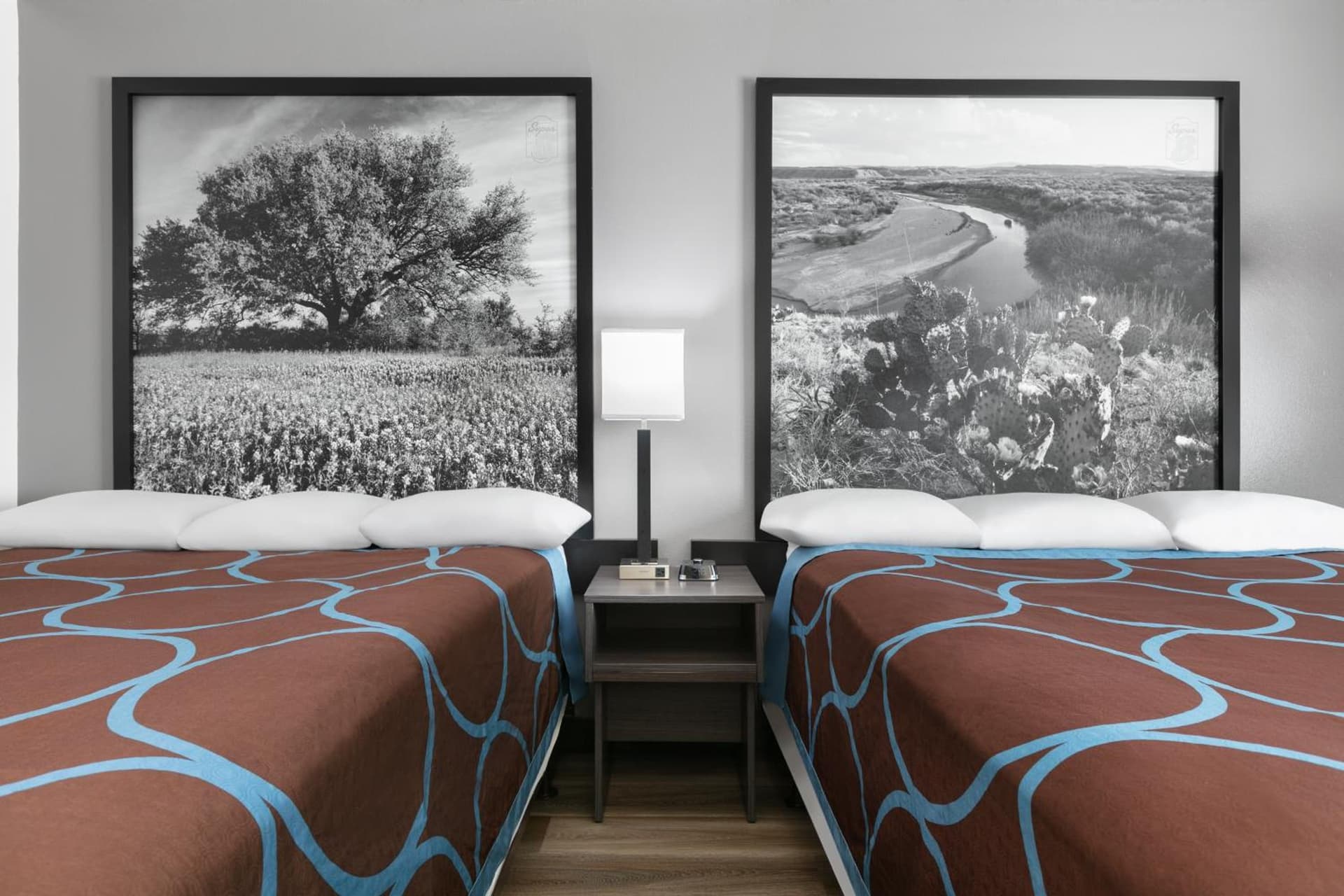 Super 8 by Wyndham Grapevine/DFW Airport Northwest gallery photo in Grapevine, TX — image 21