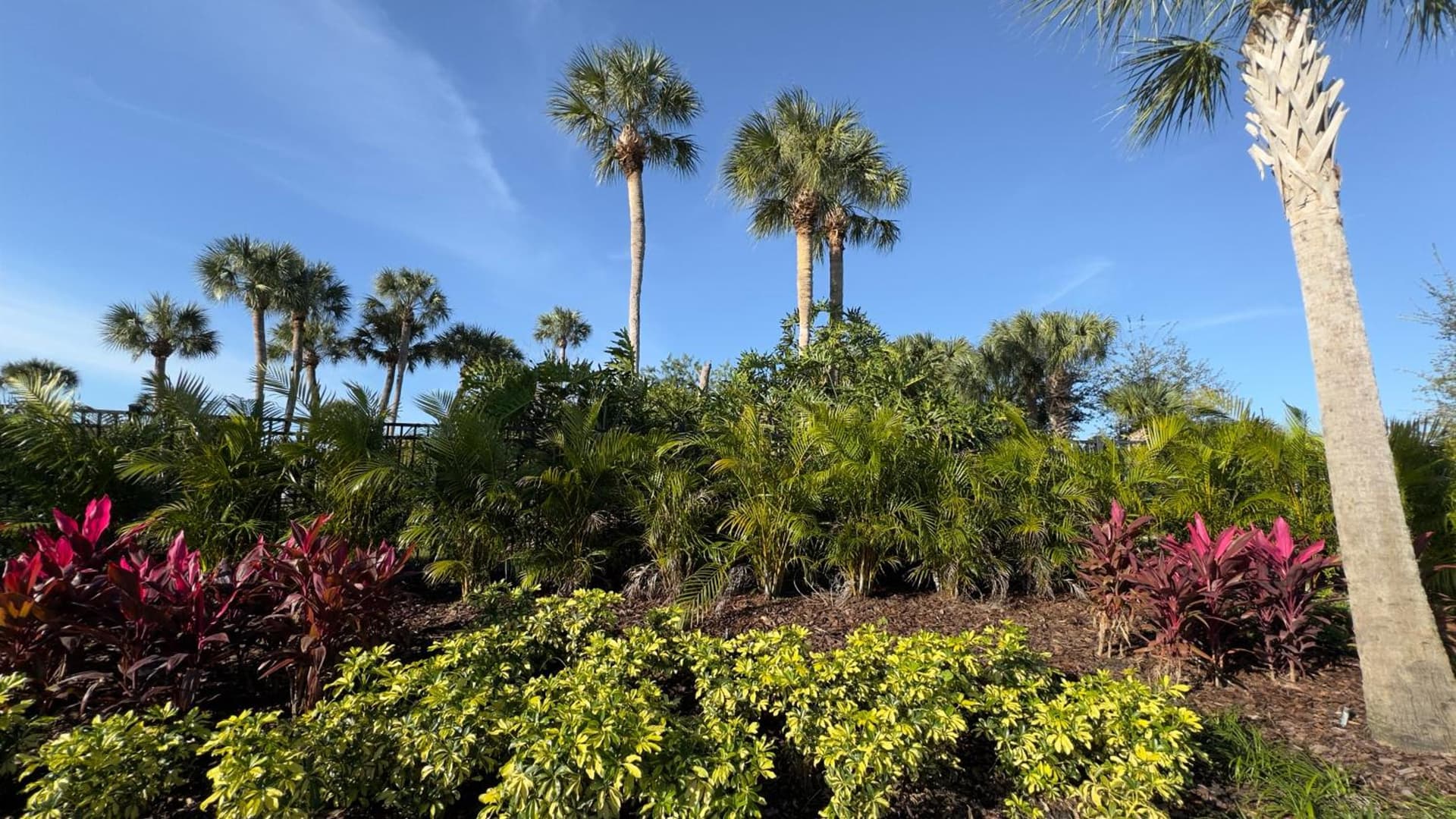 Wyndham I-Drive Avanti Resort & Conference Center gallery photo in Orlando, FL — image 105
