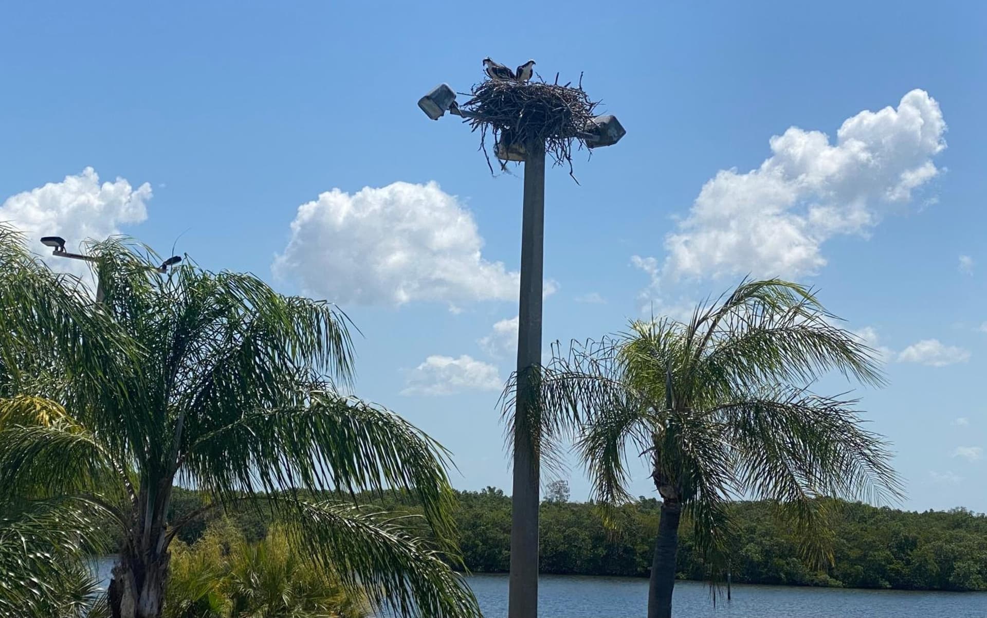 Perfect getaway with pool, hot tub and world class views gallery photo in Ruskin, FL — image 23
