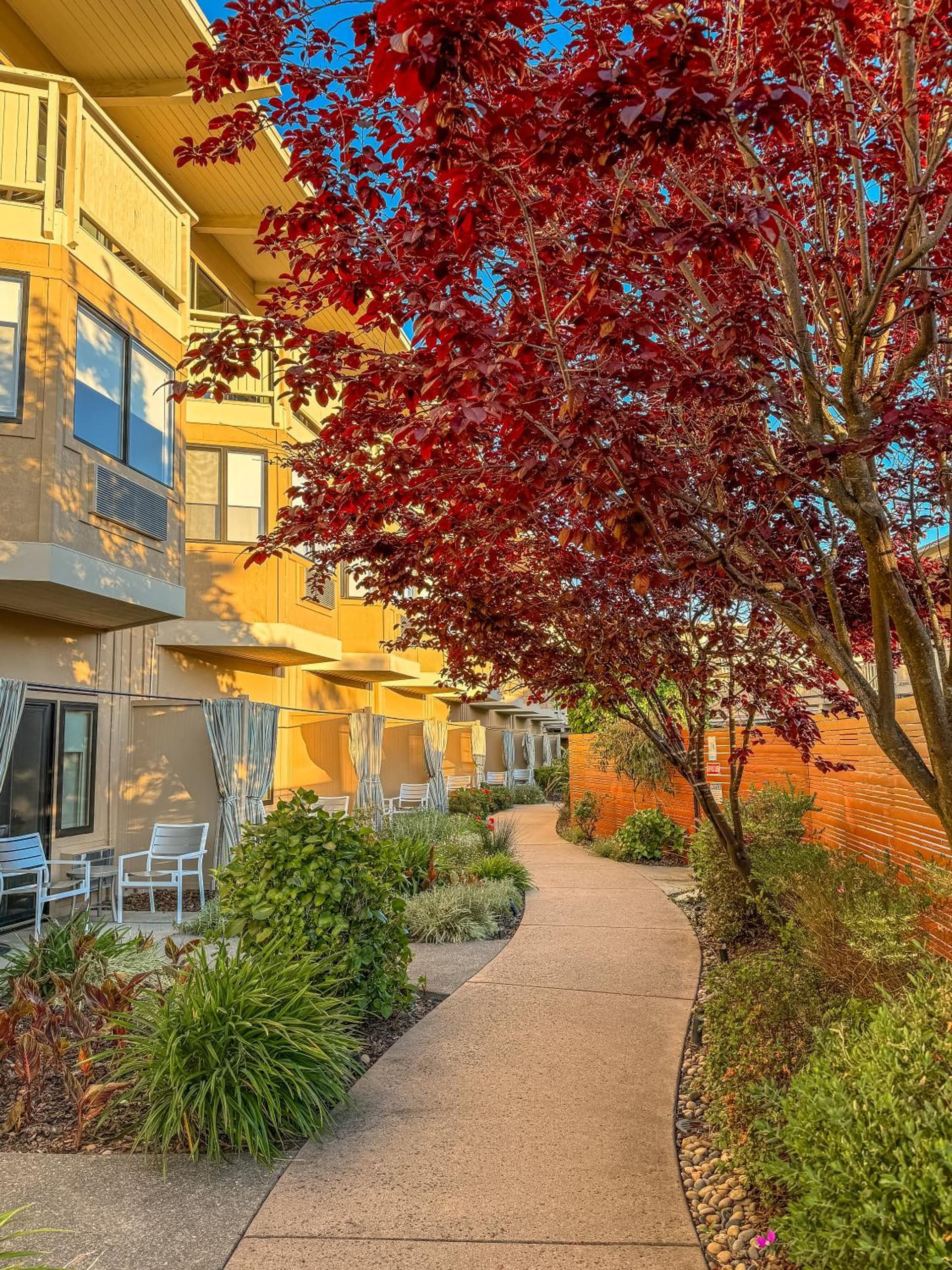 The Lodge at Tiburon gallery photo in Tiburon, CA — image 50