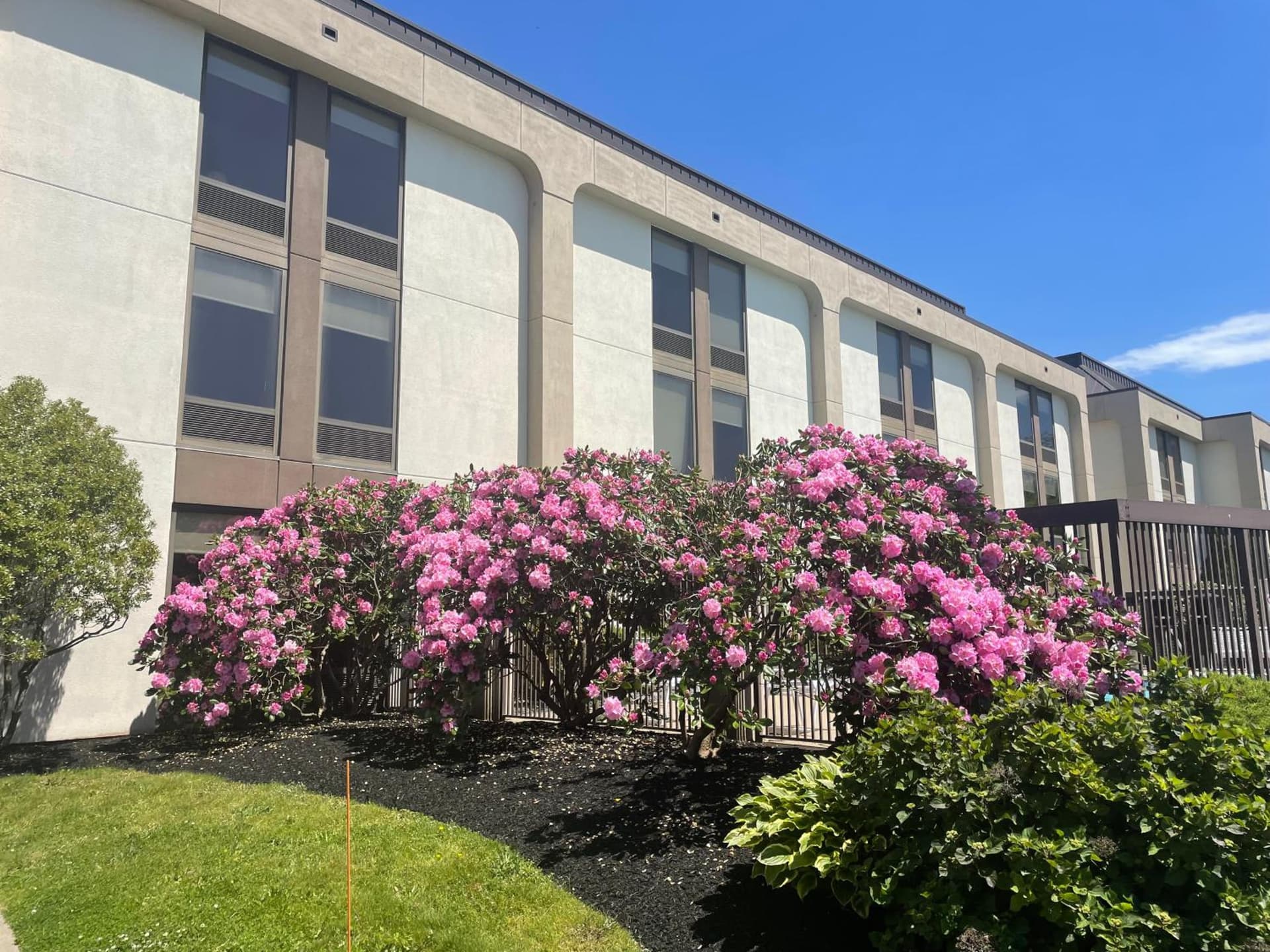 Hampton Inn New Bedford/Fairhaven gallery photo in Fairhaven — image 20