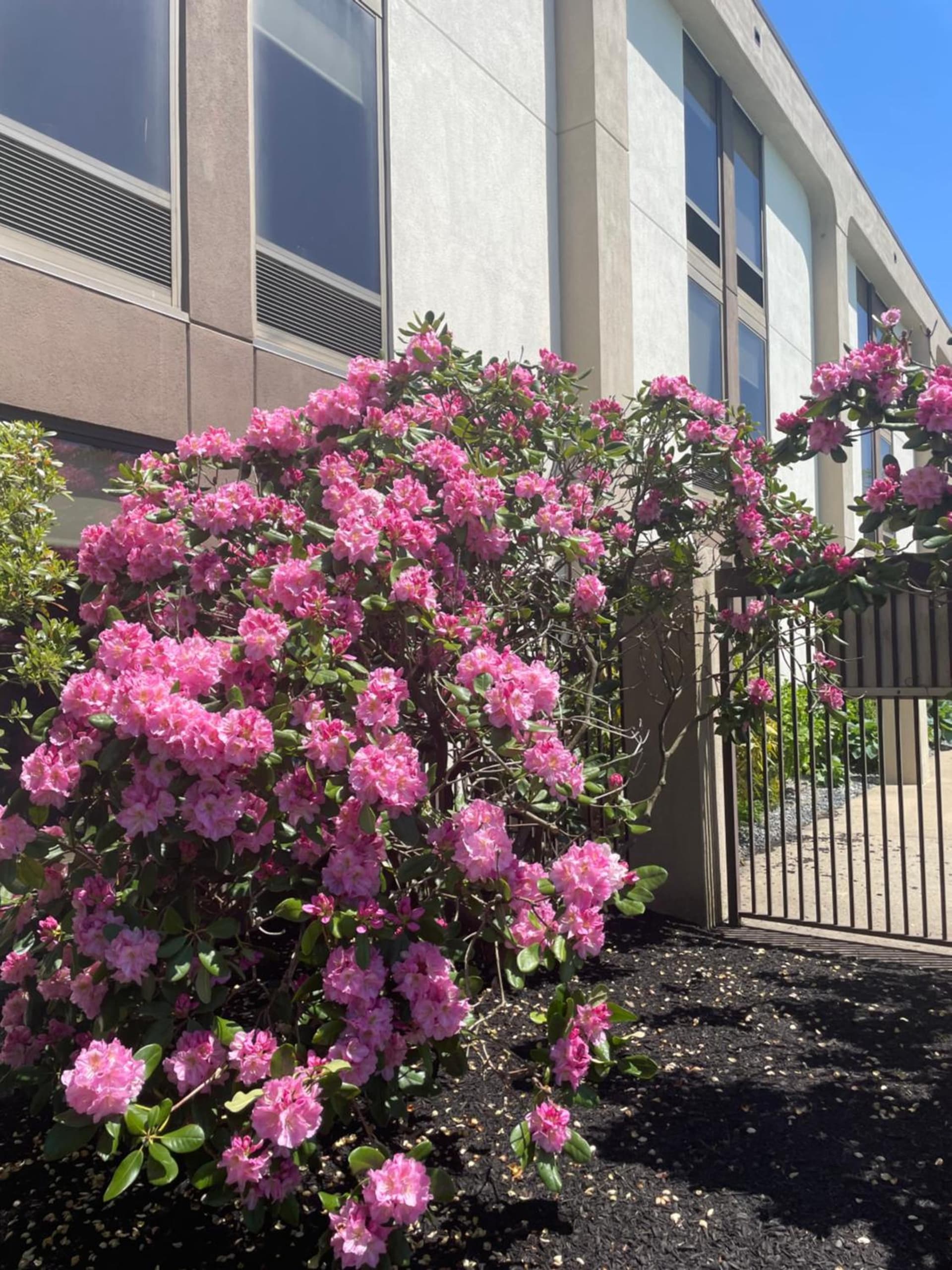 Hampton Inn New Bedford/Fairhaven gallery photo in Fairhaven — image 16
