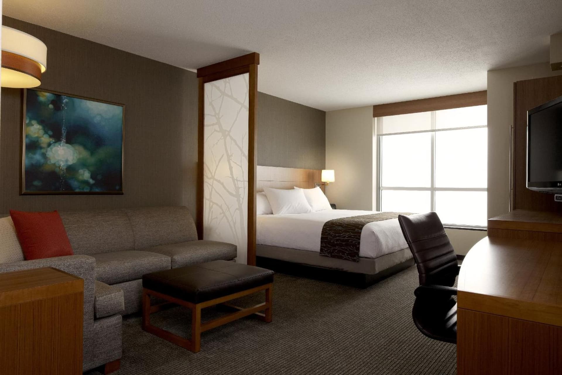 Hyatt Place Washington DC/US Capitol gallery photo in Washington, DC — image 22