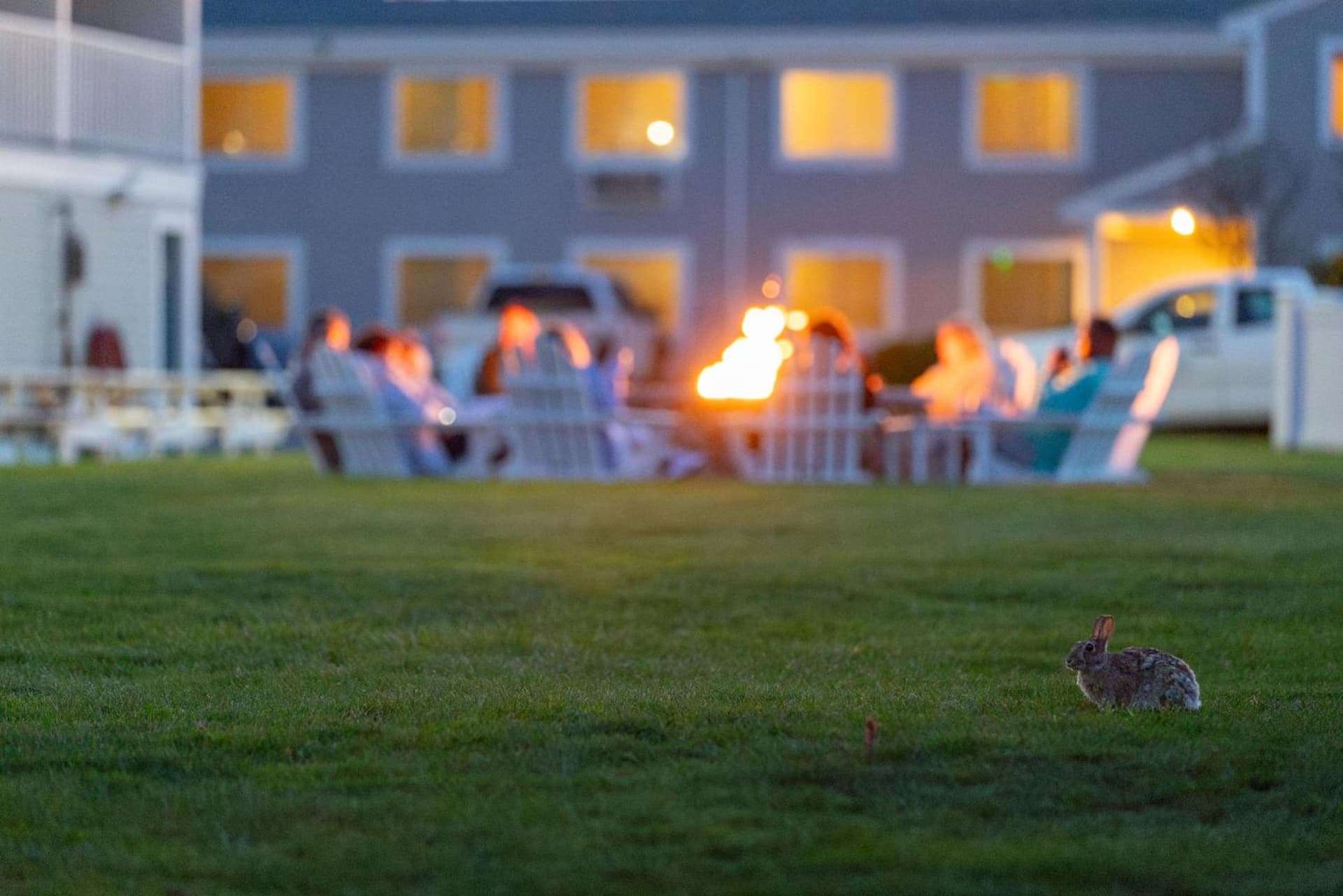 InnSeason Resorts Surfside gallery photo in Falmouth, MA — image 10