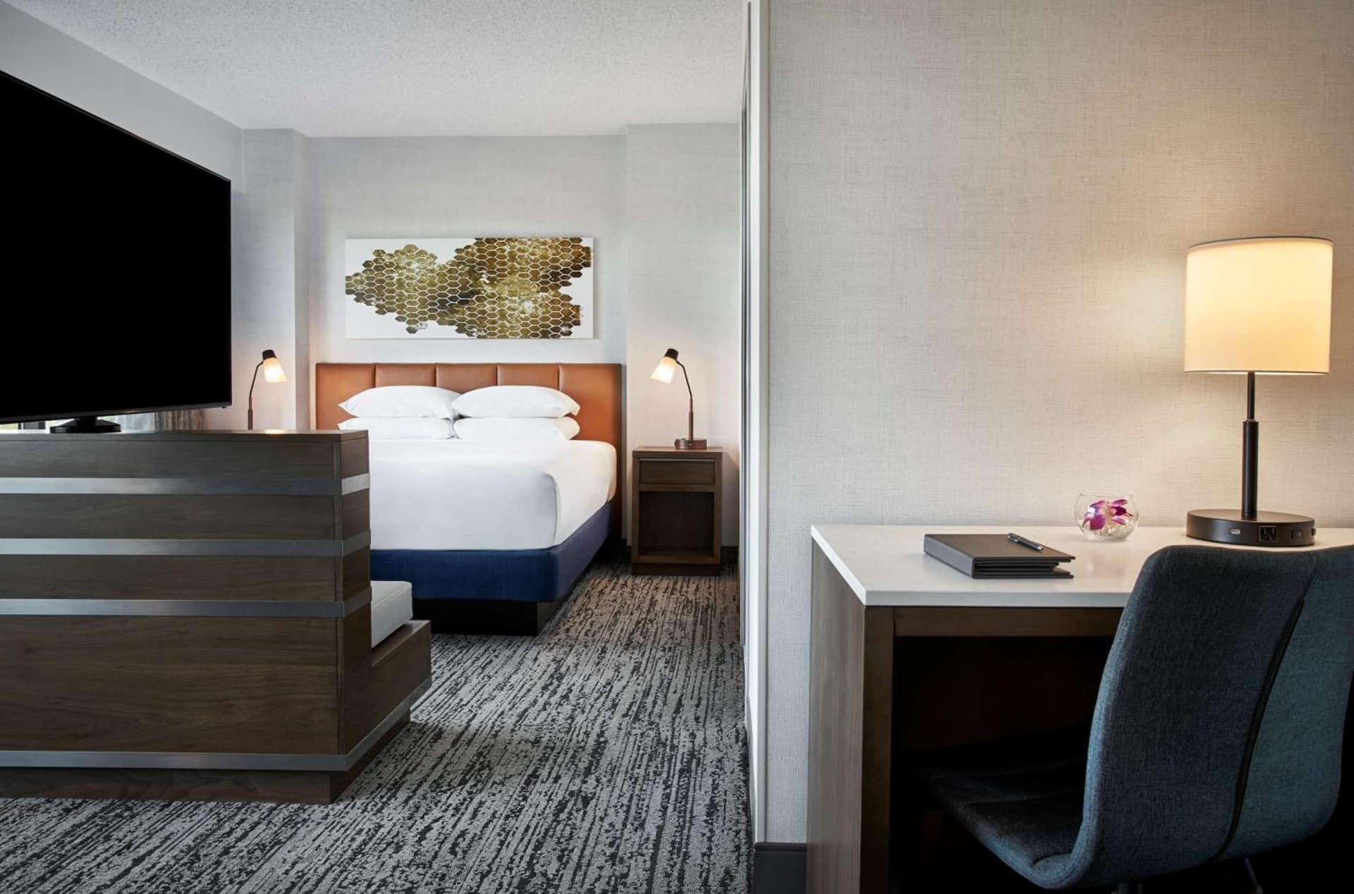 Hilton Fairfax, Va gallery photo in Fairfax, VA — image 23