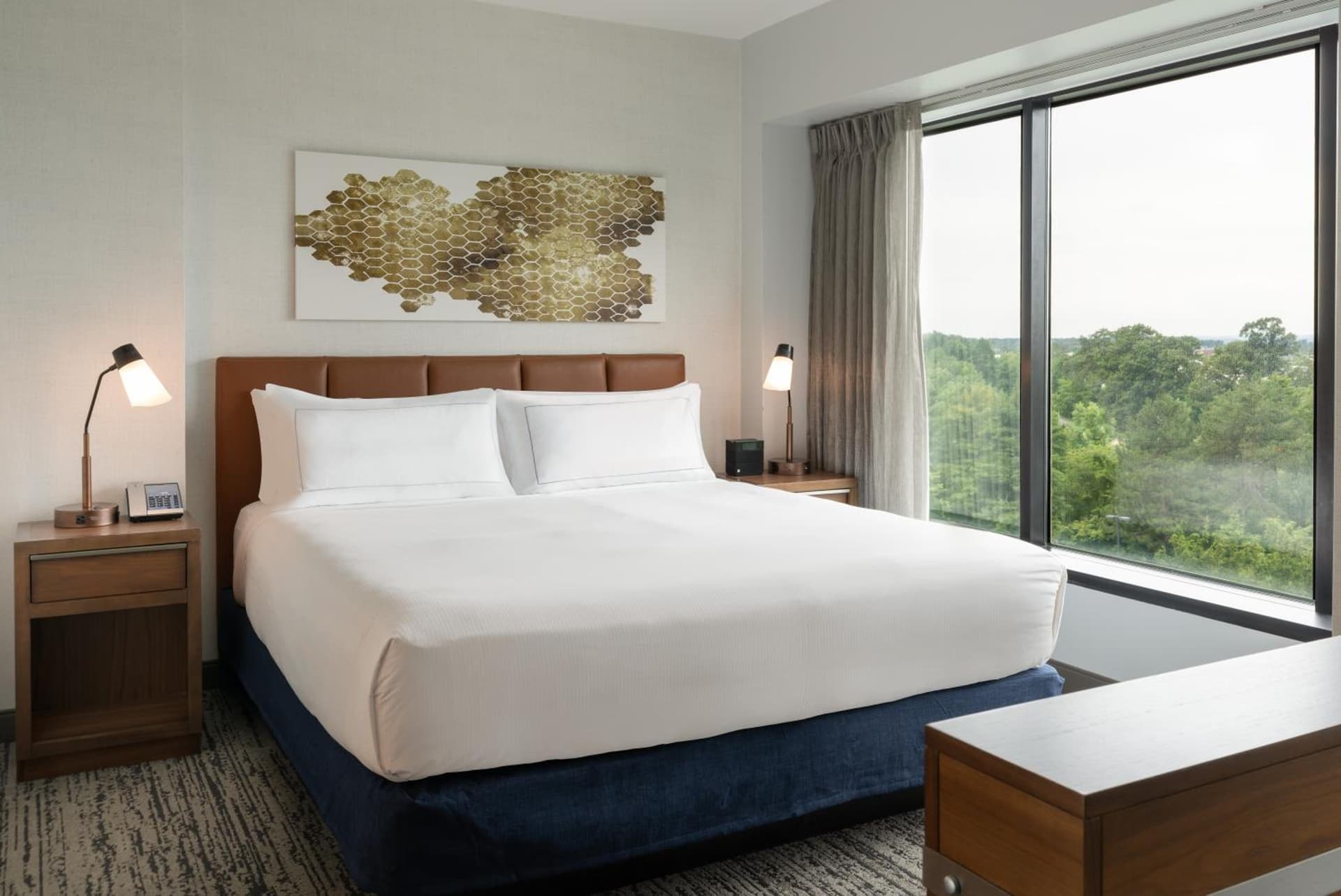 Hilton Fairfax, Va gallery photo in Fairfax, VA — image 17