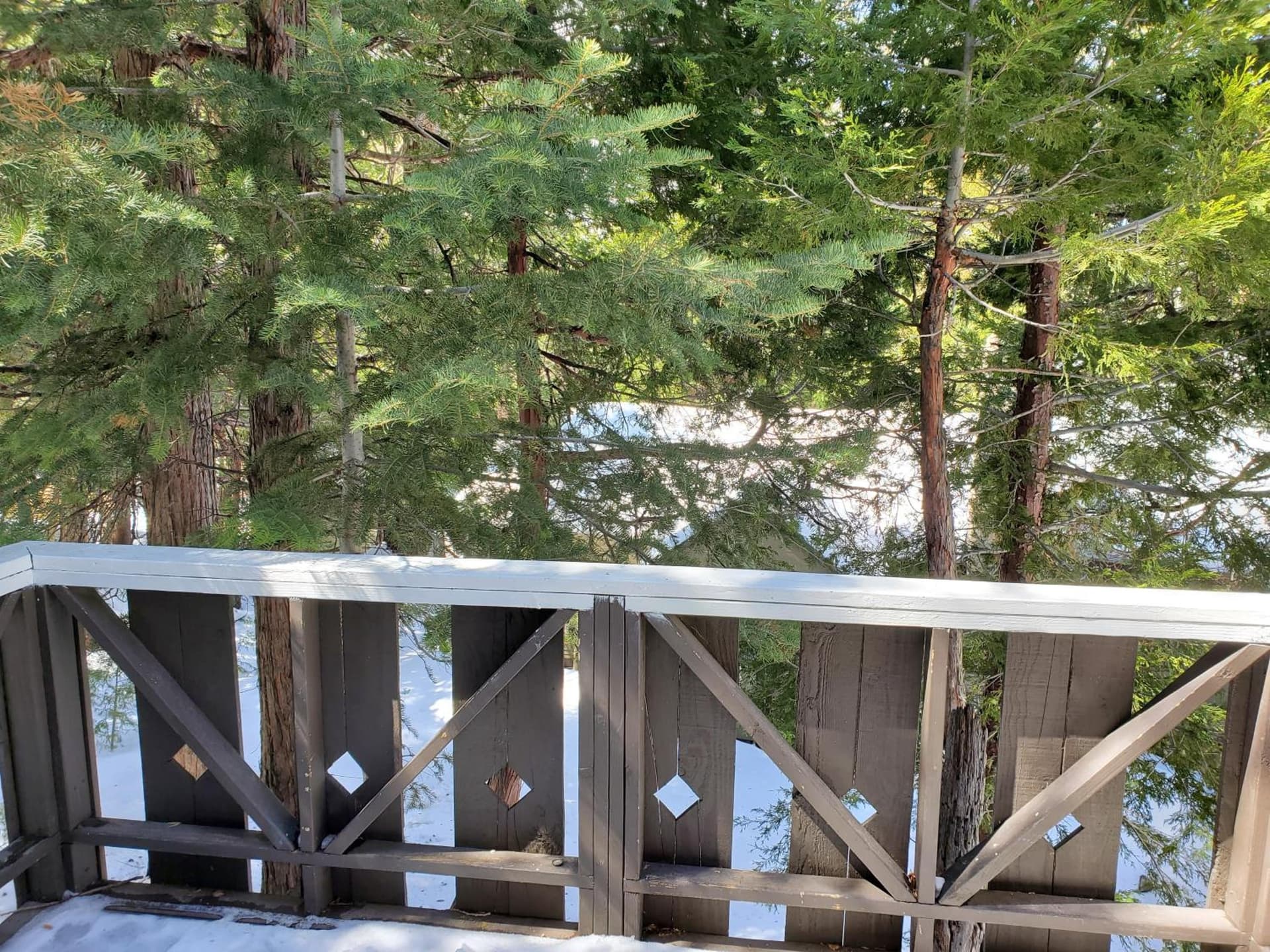 The Treetop Terrace at The Historic Arrowhead Lodge property views in Twin Peaks — gallery photo 3