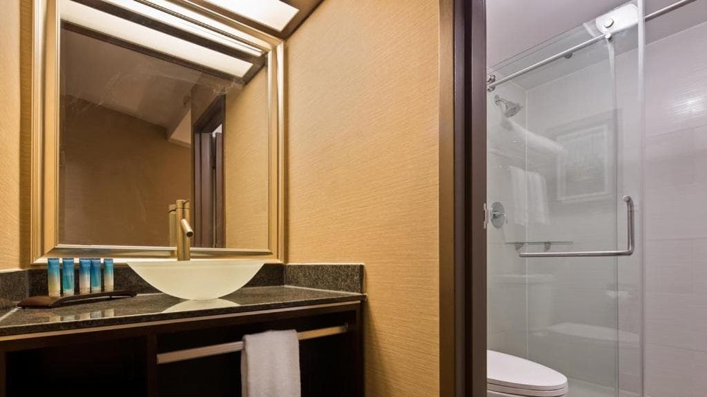 Radisson Hotel Southfield-Detroit gallery photo in Southfield, MI — image 29
